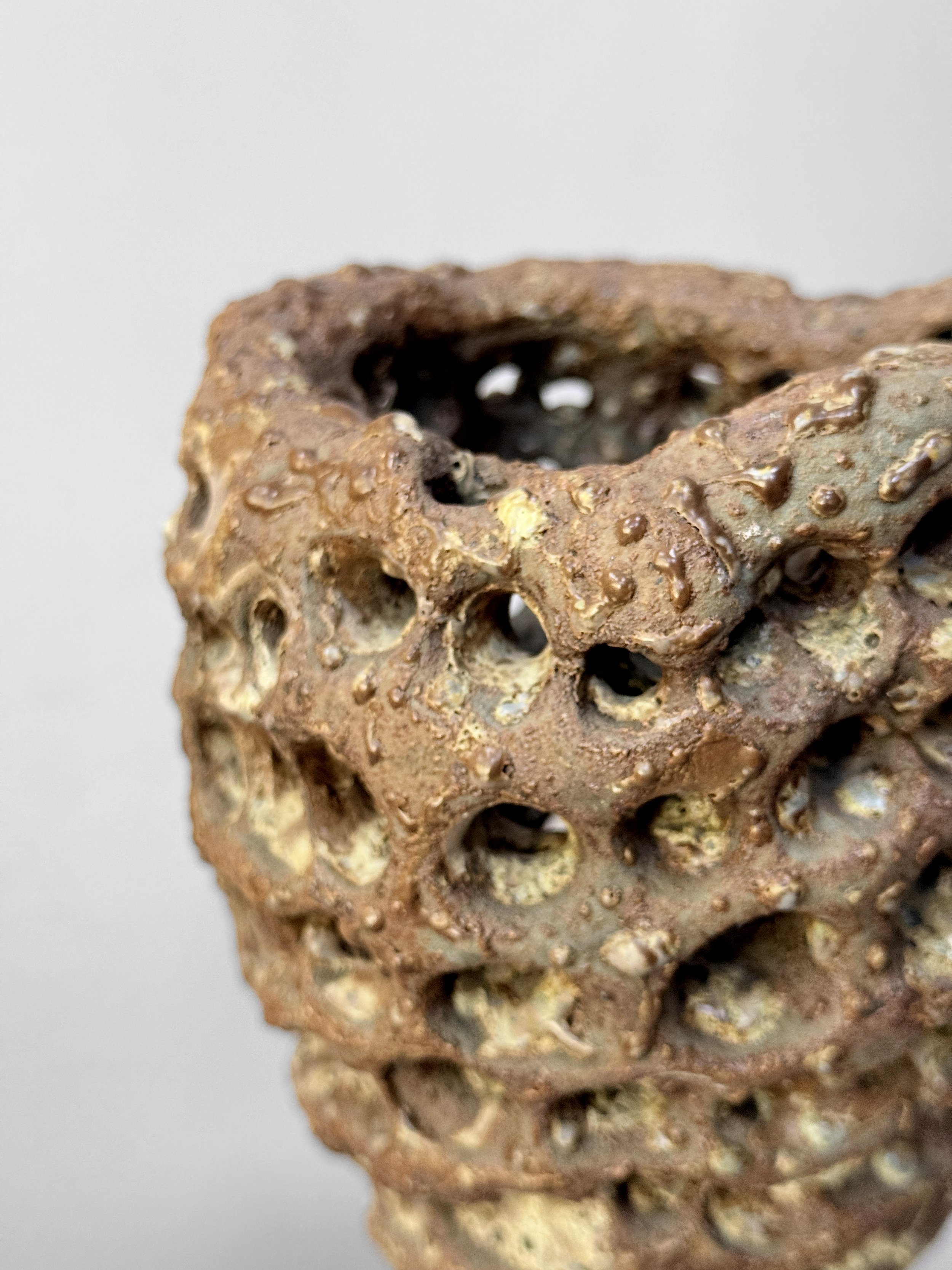 lotte-schwerdtfeger-fossilised-sponge-vessel-3.JPG