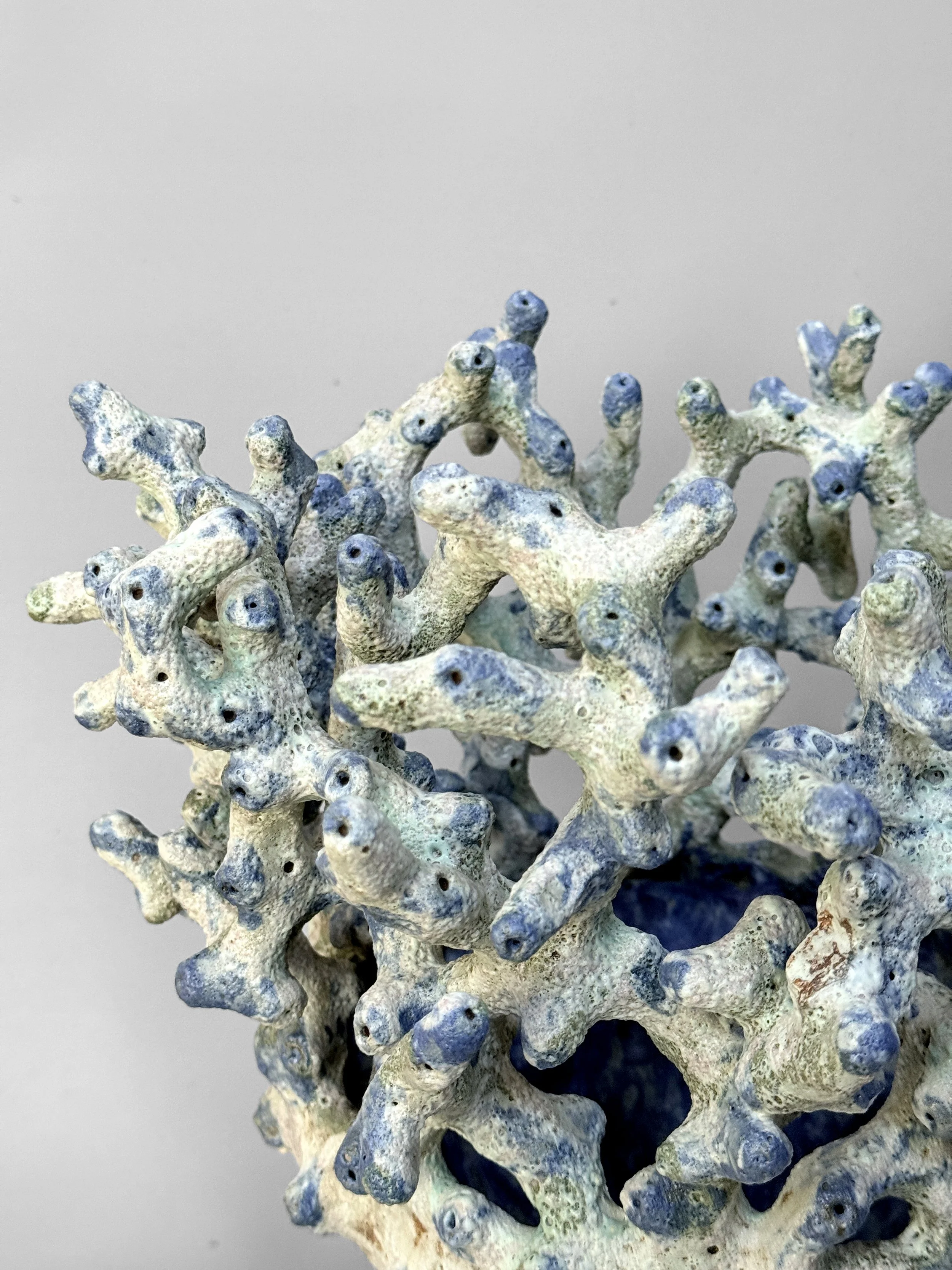 lotte-schwerdtfeger-coral-vessel-4.JPG