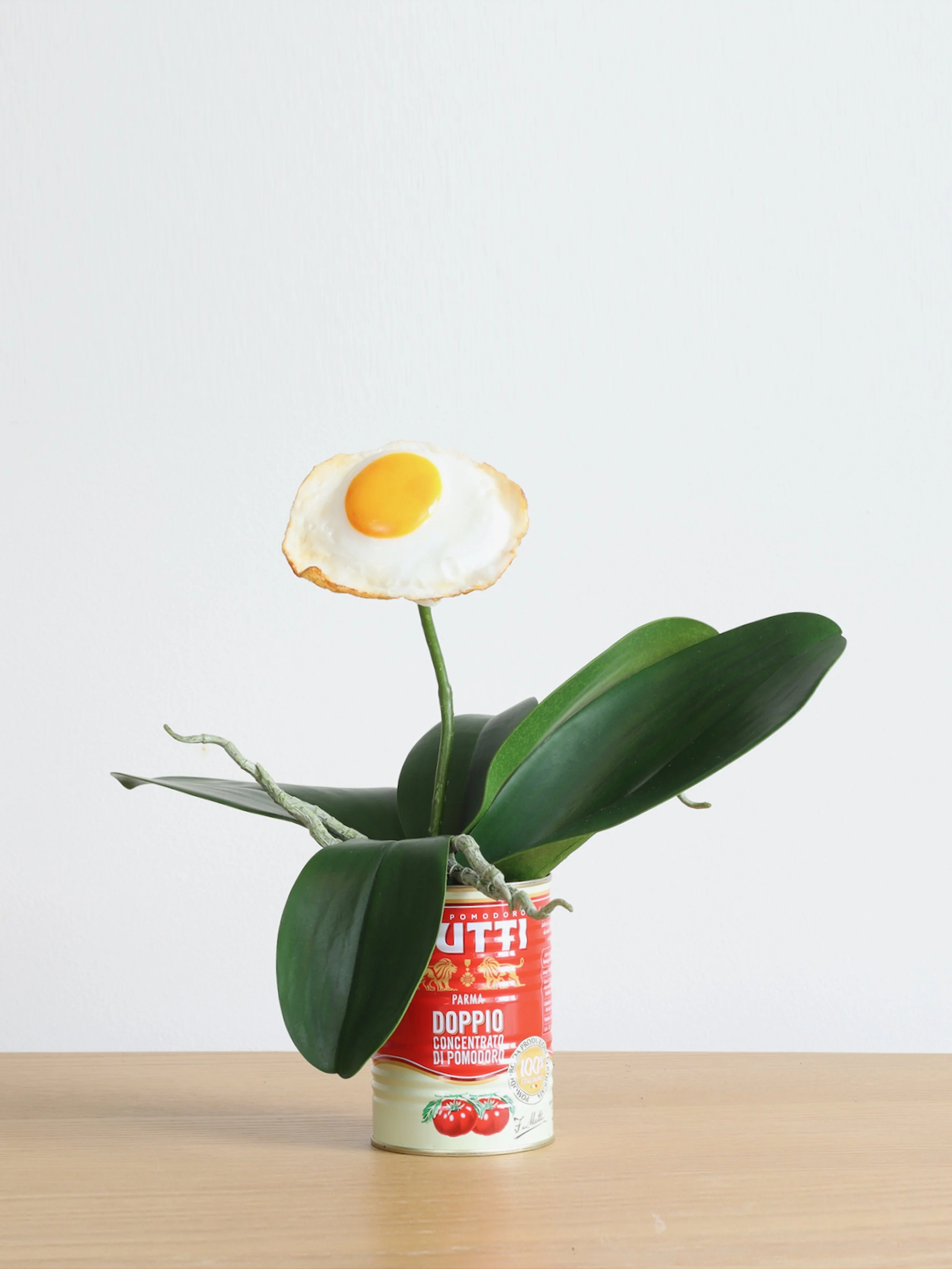 laetitia-olivier-gargano-egg-orchid-10-3.JPG