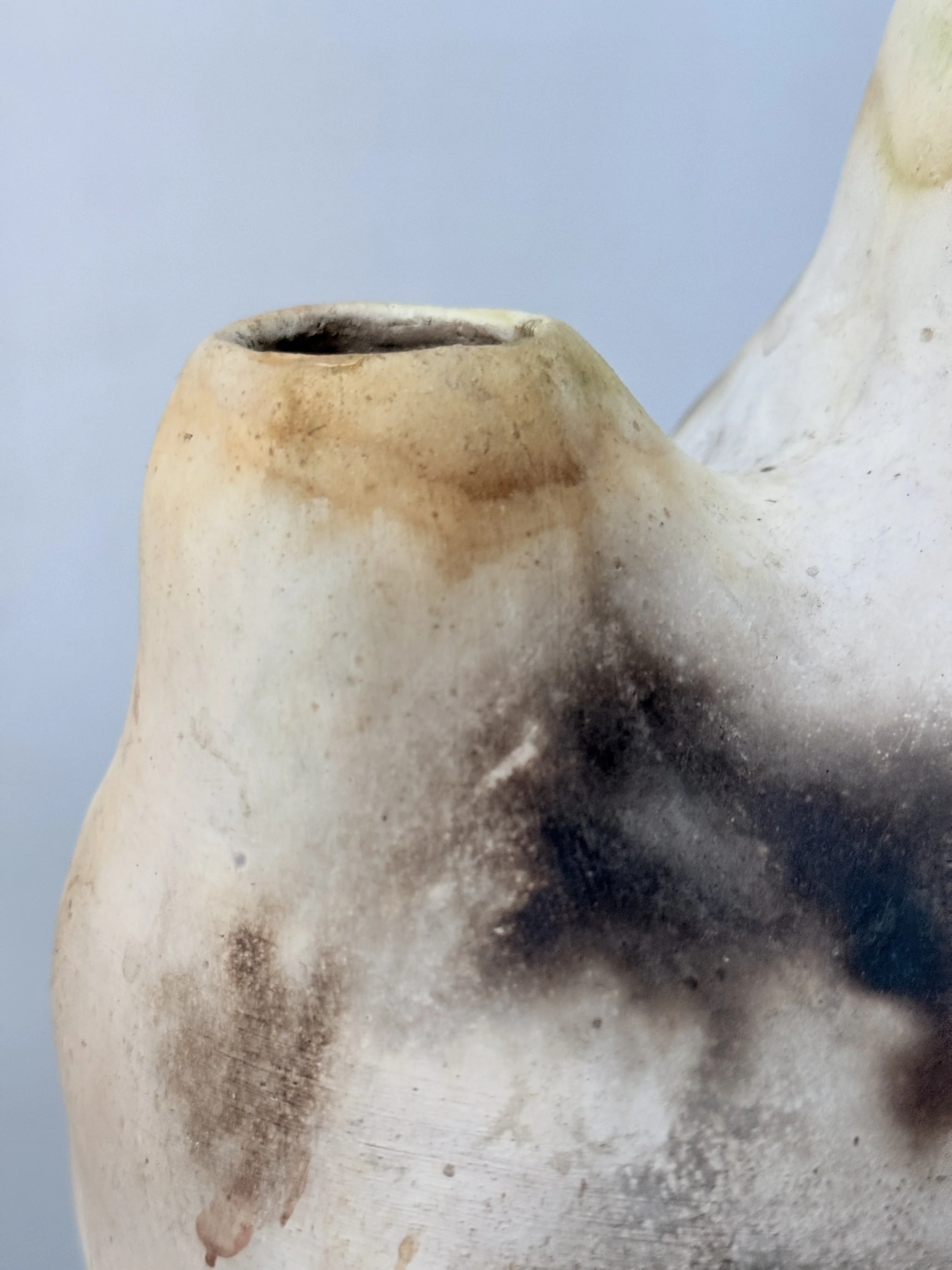 lotte-schwerdtfeger-bi-valve-blob-vase-ii-2.JPG