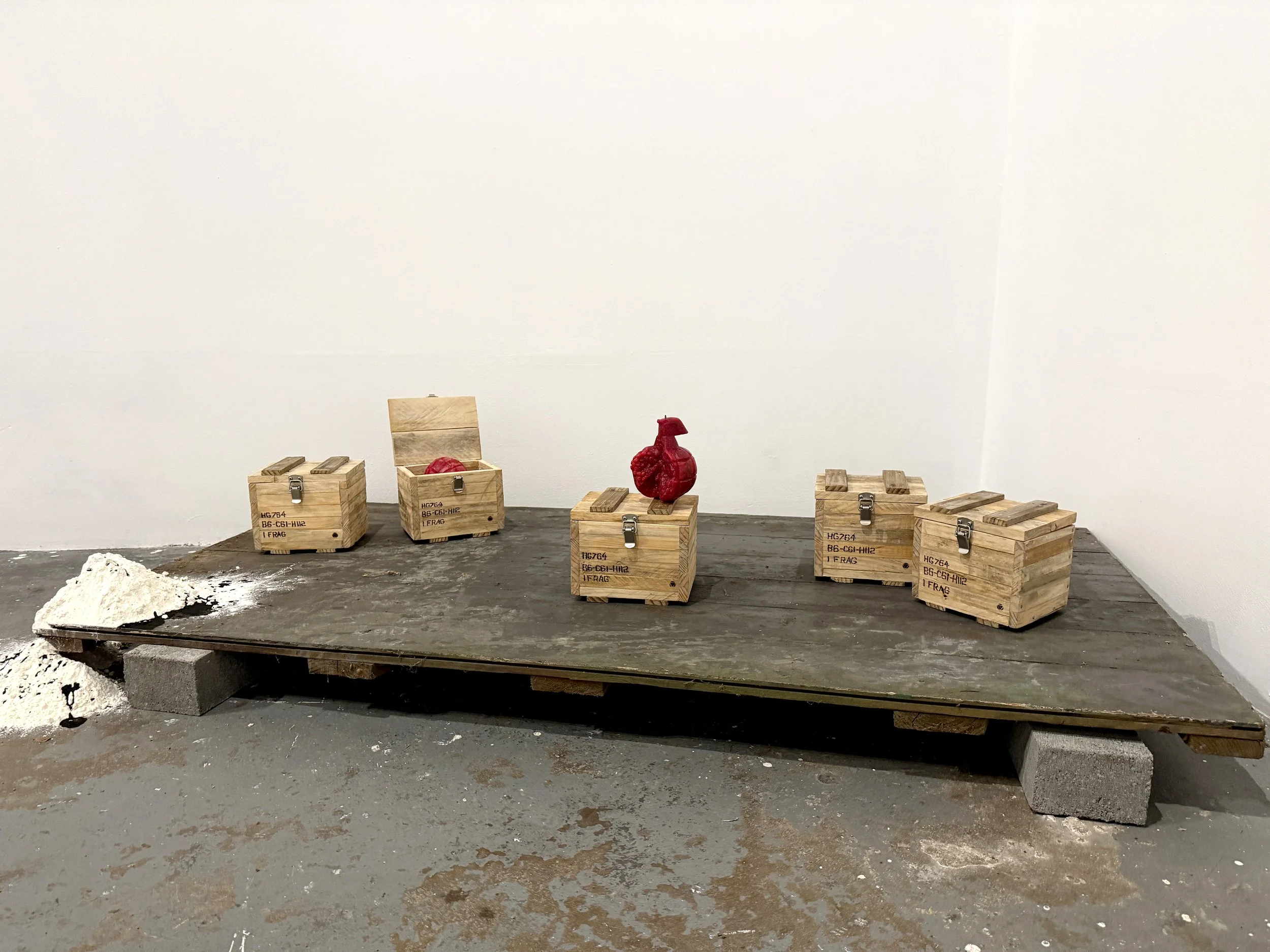 lara-chamas-pomegrenade-light-me-up-4.JPG (Copy)