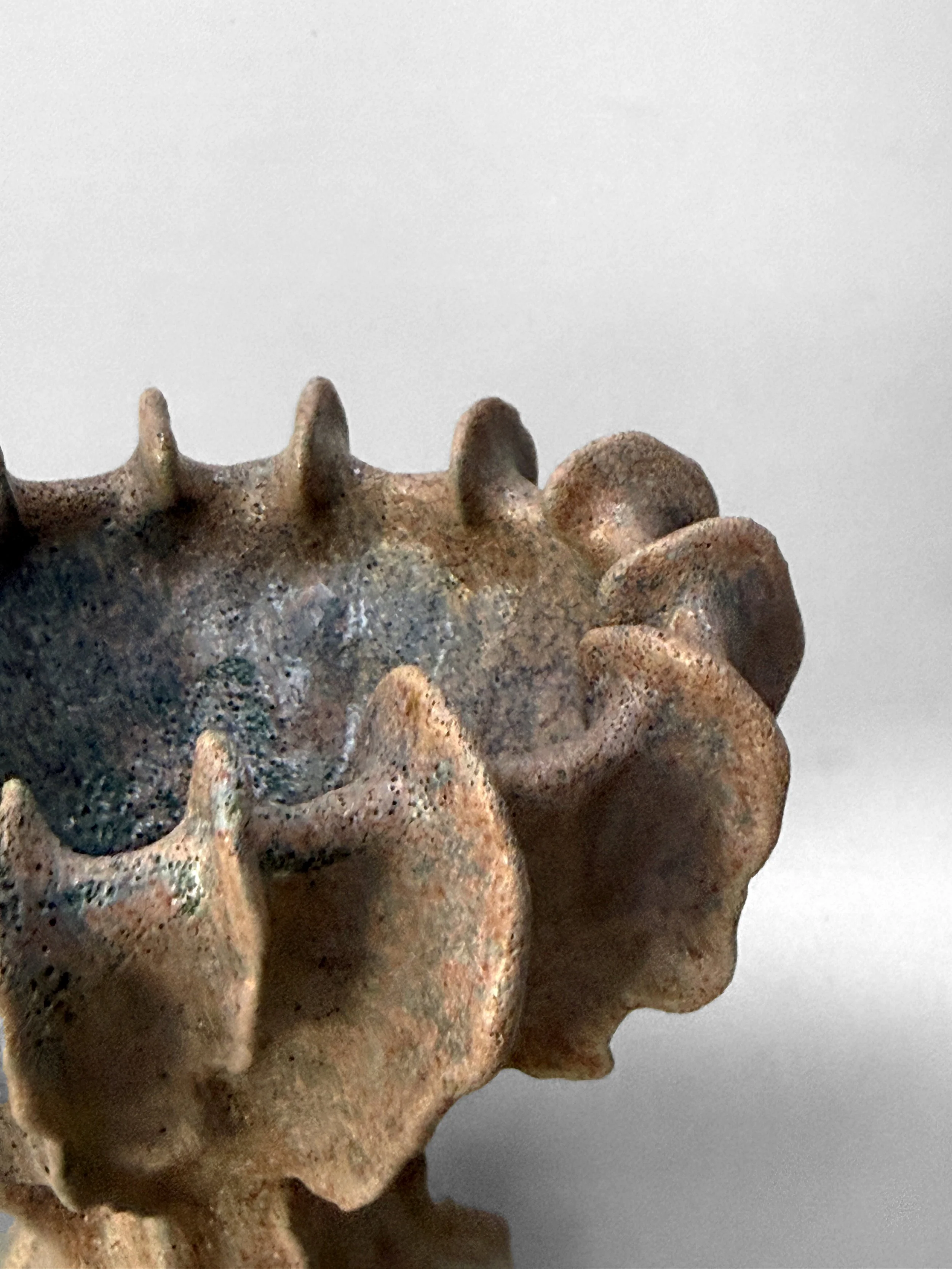 lotte-schwerdtfeger-coral-ridge-vase-iv-2.JPG