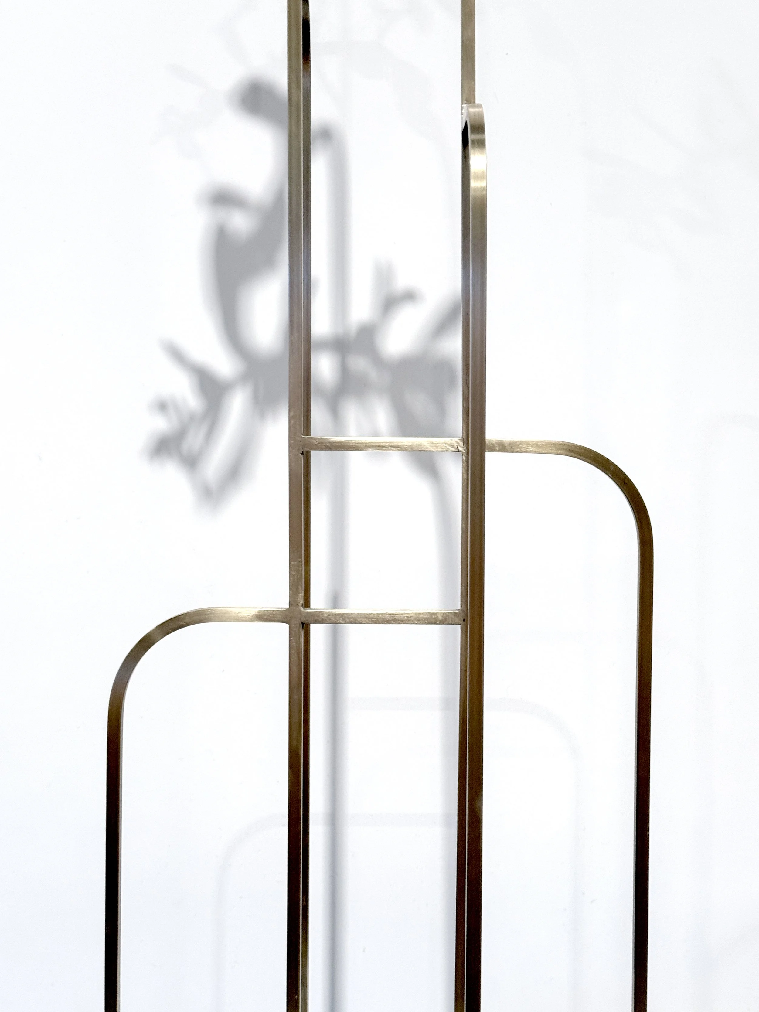 jason-waterhouse-cotyledon-structure-6.JPG
