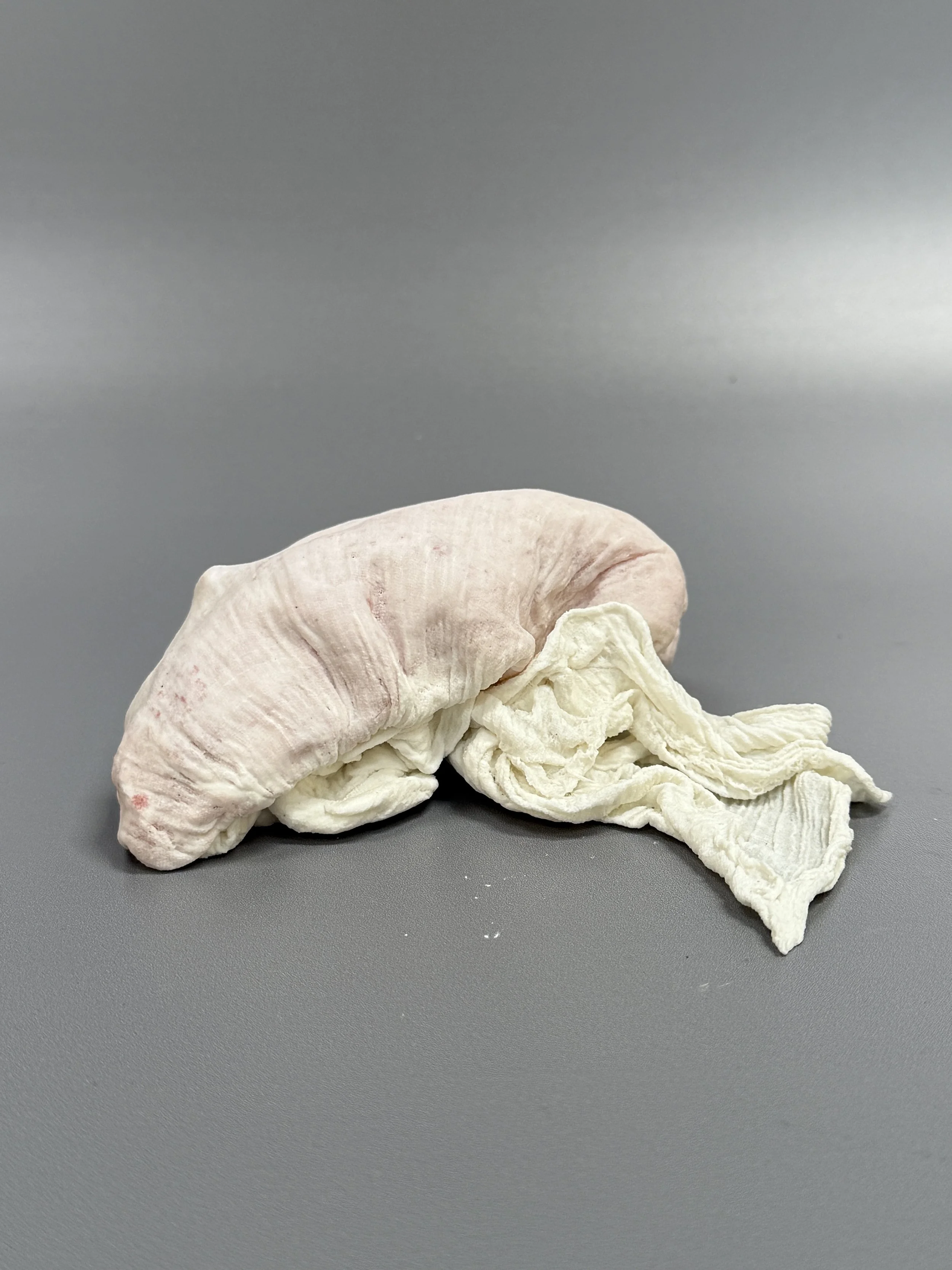 untitled #4 (journey series)