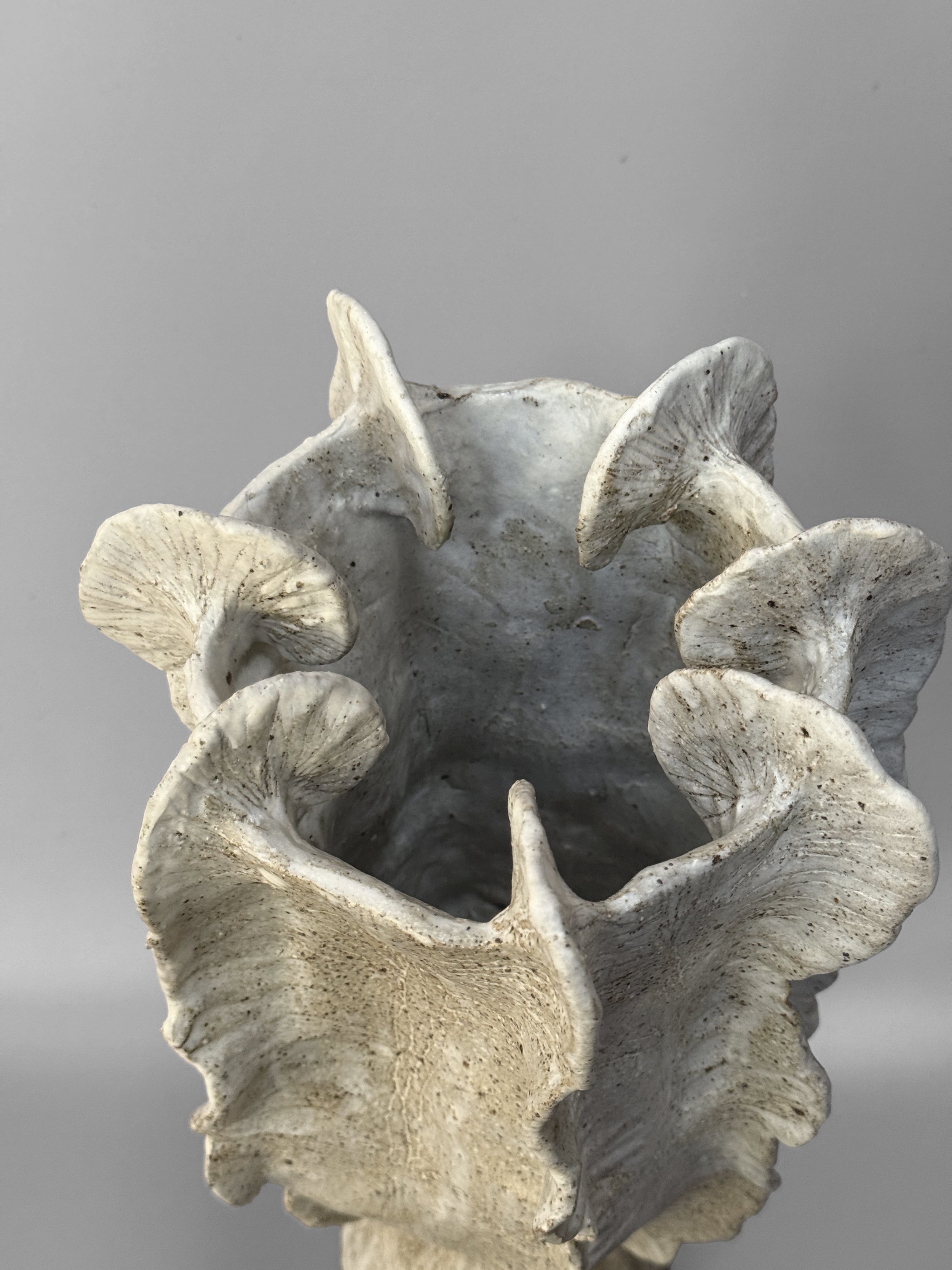 lotte-schwerdtfeger-frond-vase-4.JPG