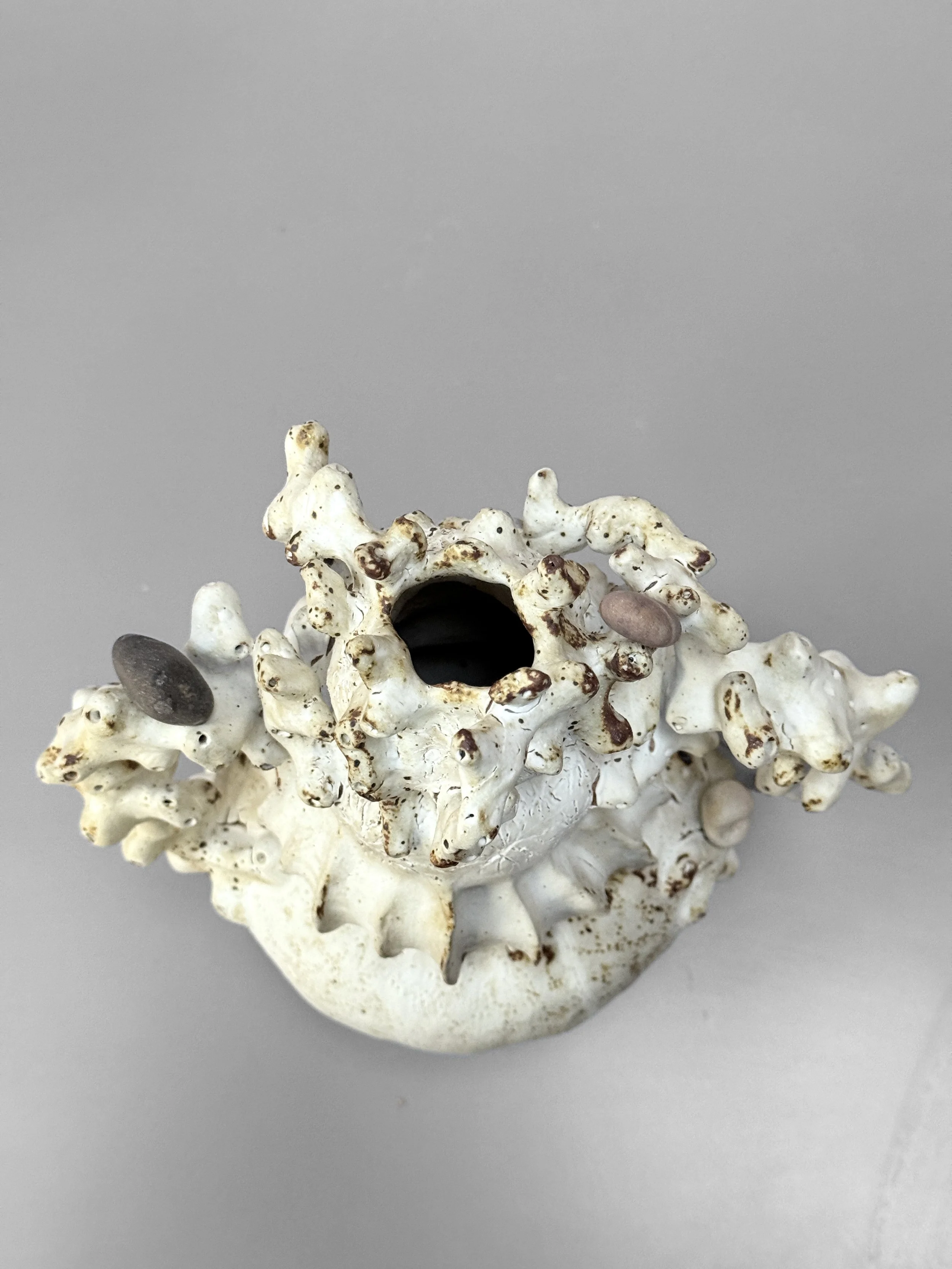 lotte-schwerdtfeger-bleached-vase-6.JPG