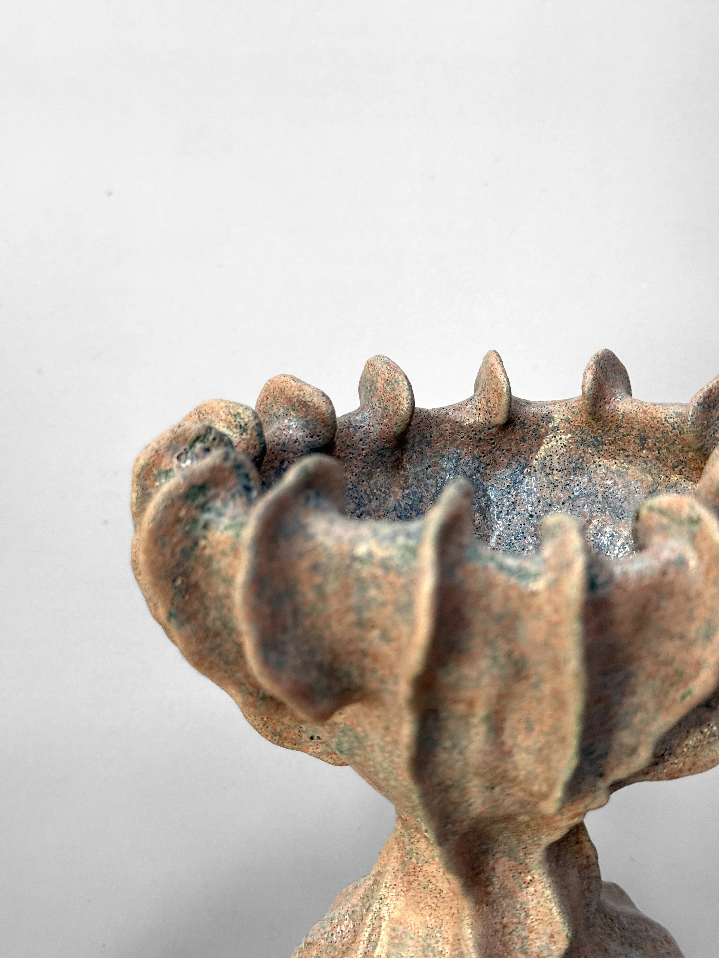 lotte-schwerdtfeger-coral-ridge-vase-iv-4.JPG