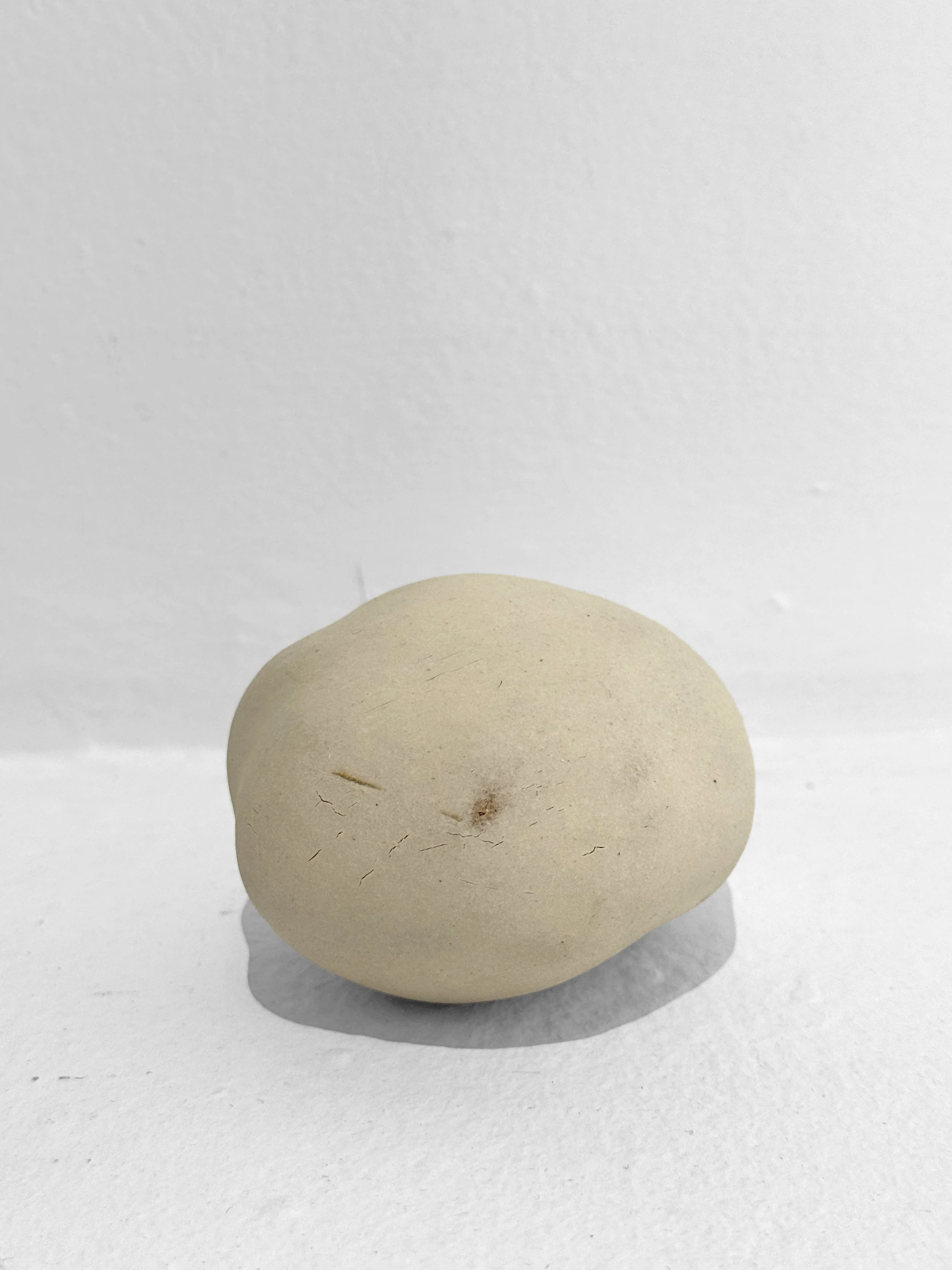 kaori-fujimoto-rattle-3-1.JPG