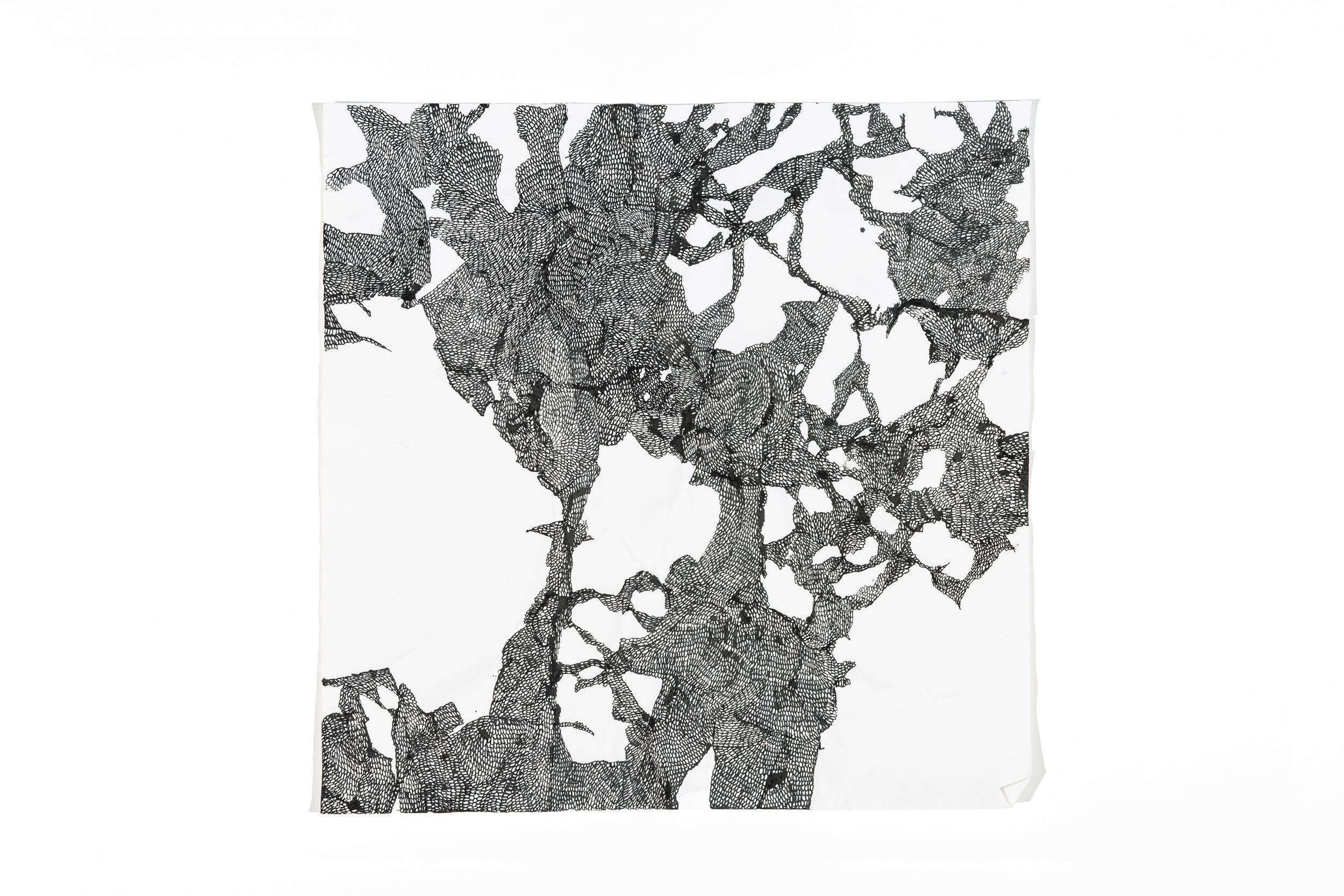 talitha-kennedy-shadows-drawn-hive.jpg