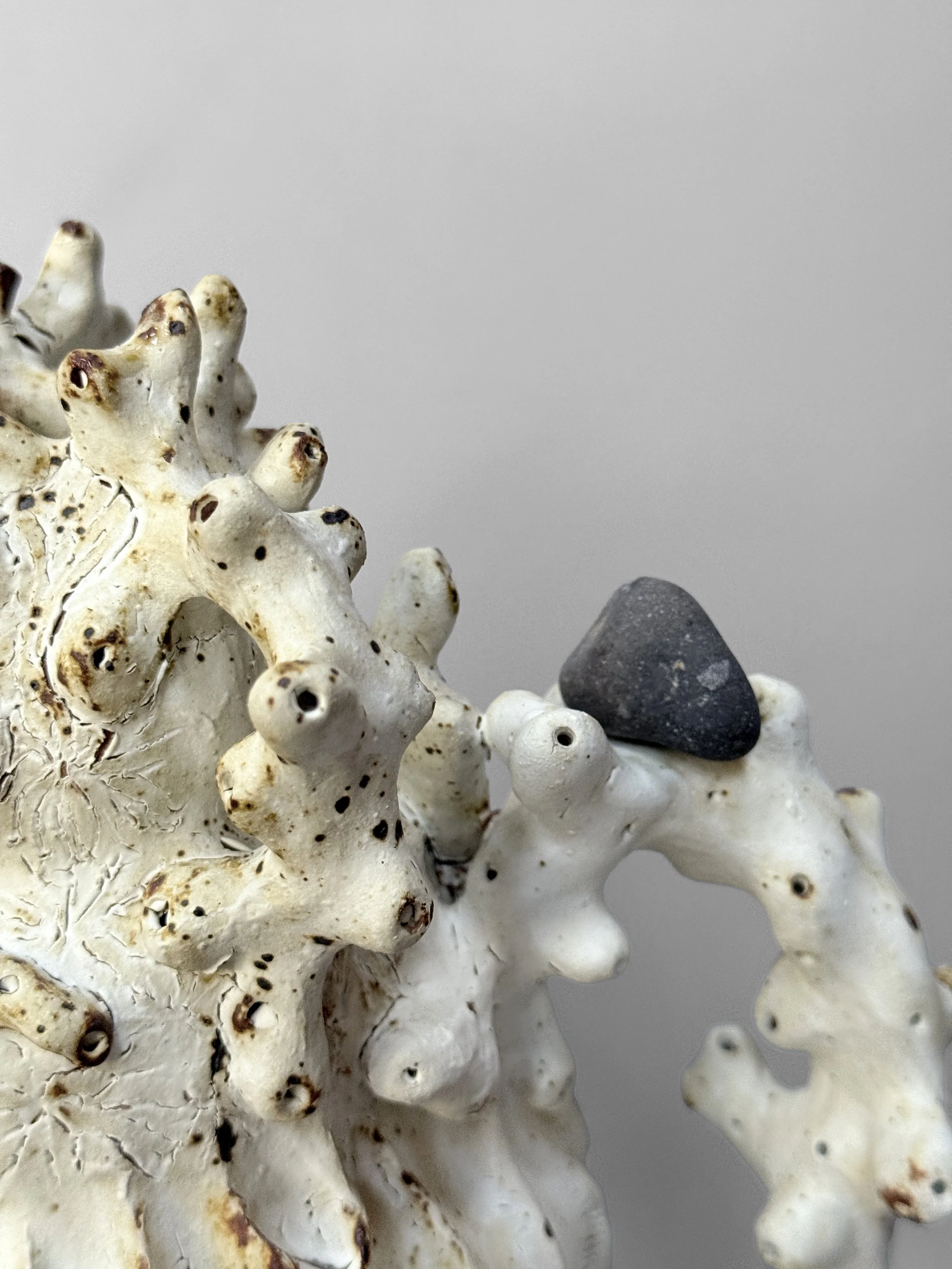 lotte-schwerdtfeger-bleached-vase-3.JPG
