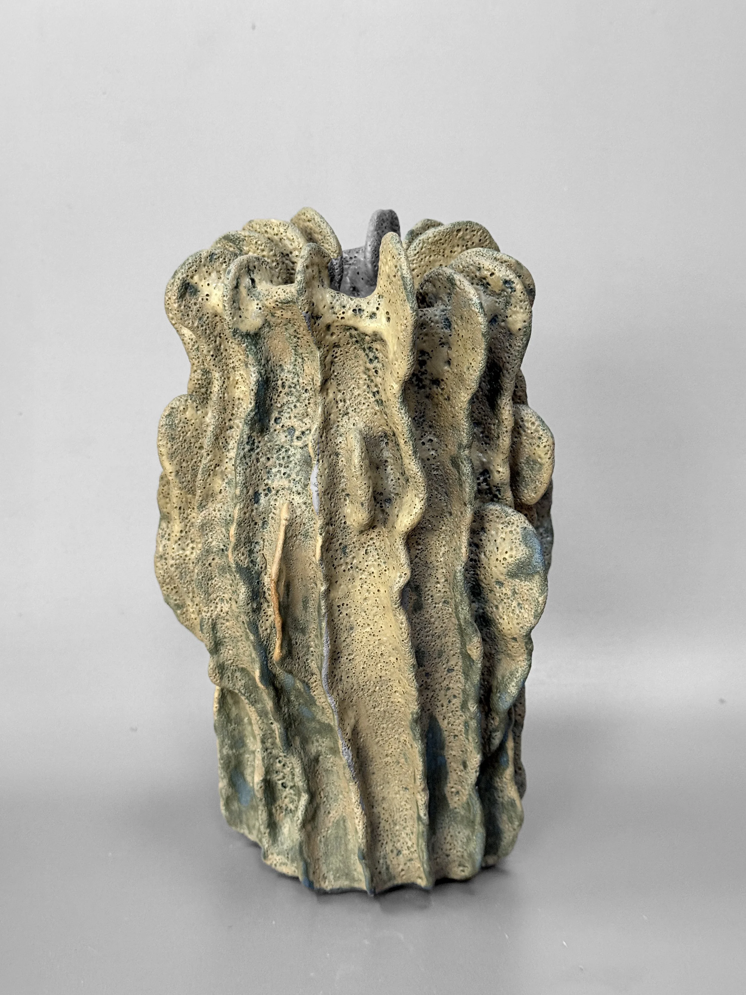 lotte-schwerdtfeger-coral-ridge-vase-vi-1.JPG