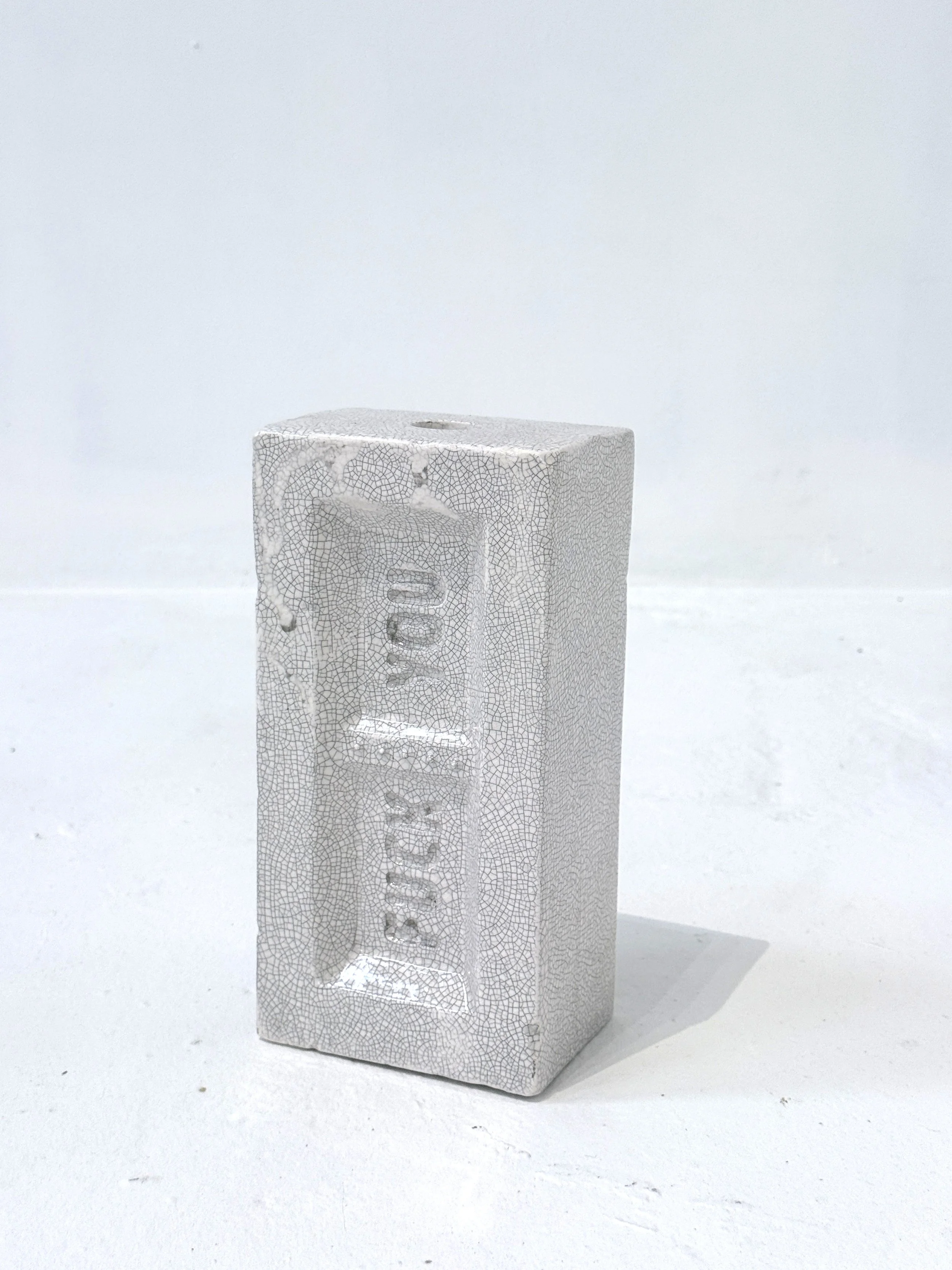 robert-hague-fuck-you-not-my-king-brick-9-2.JPG