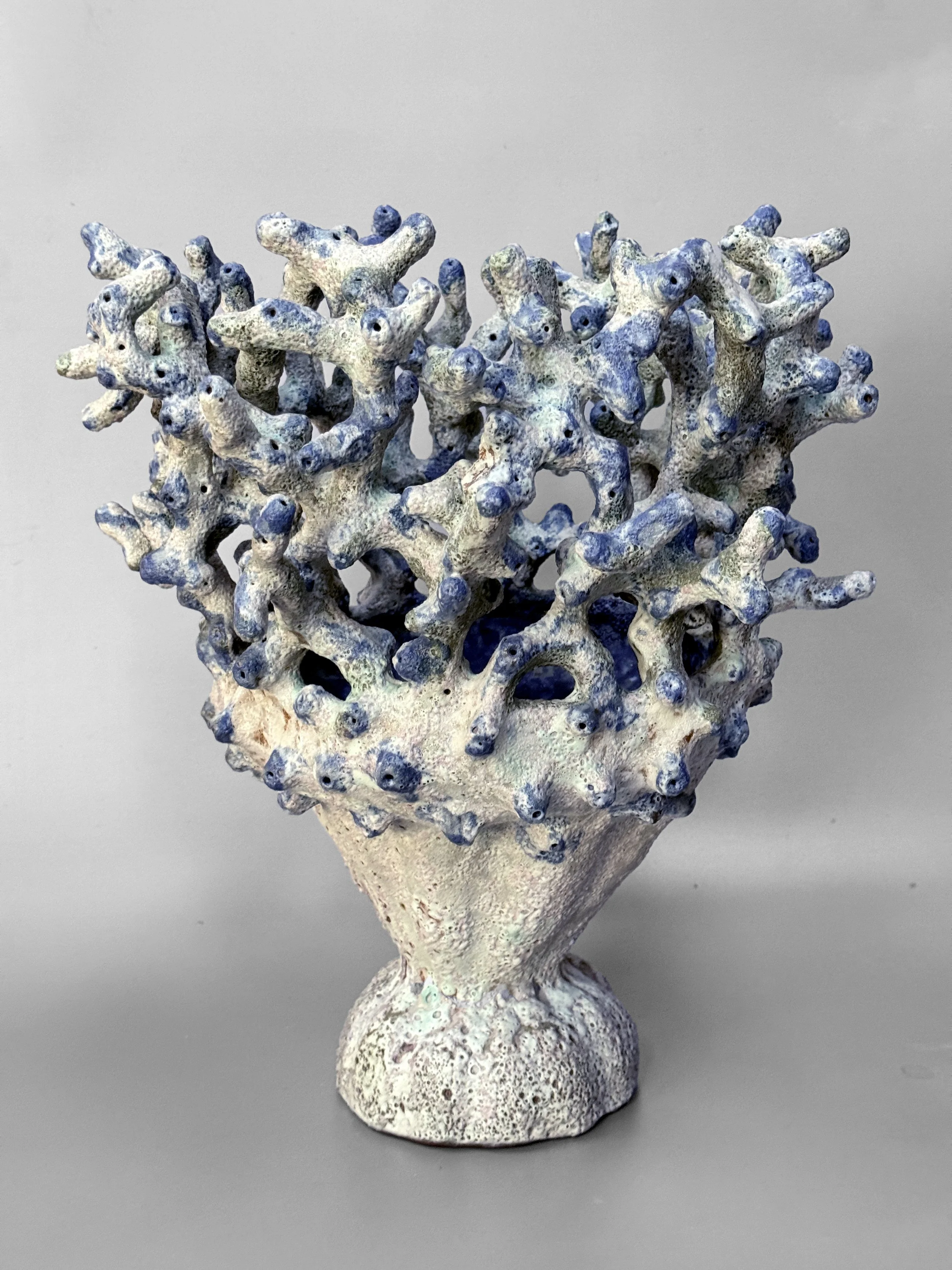 lotte-schwerdtfeger-coral-vessel-1.JPG
