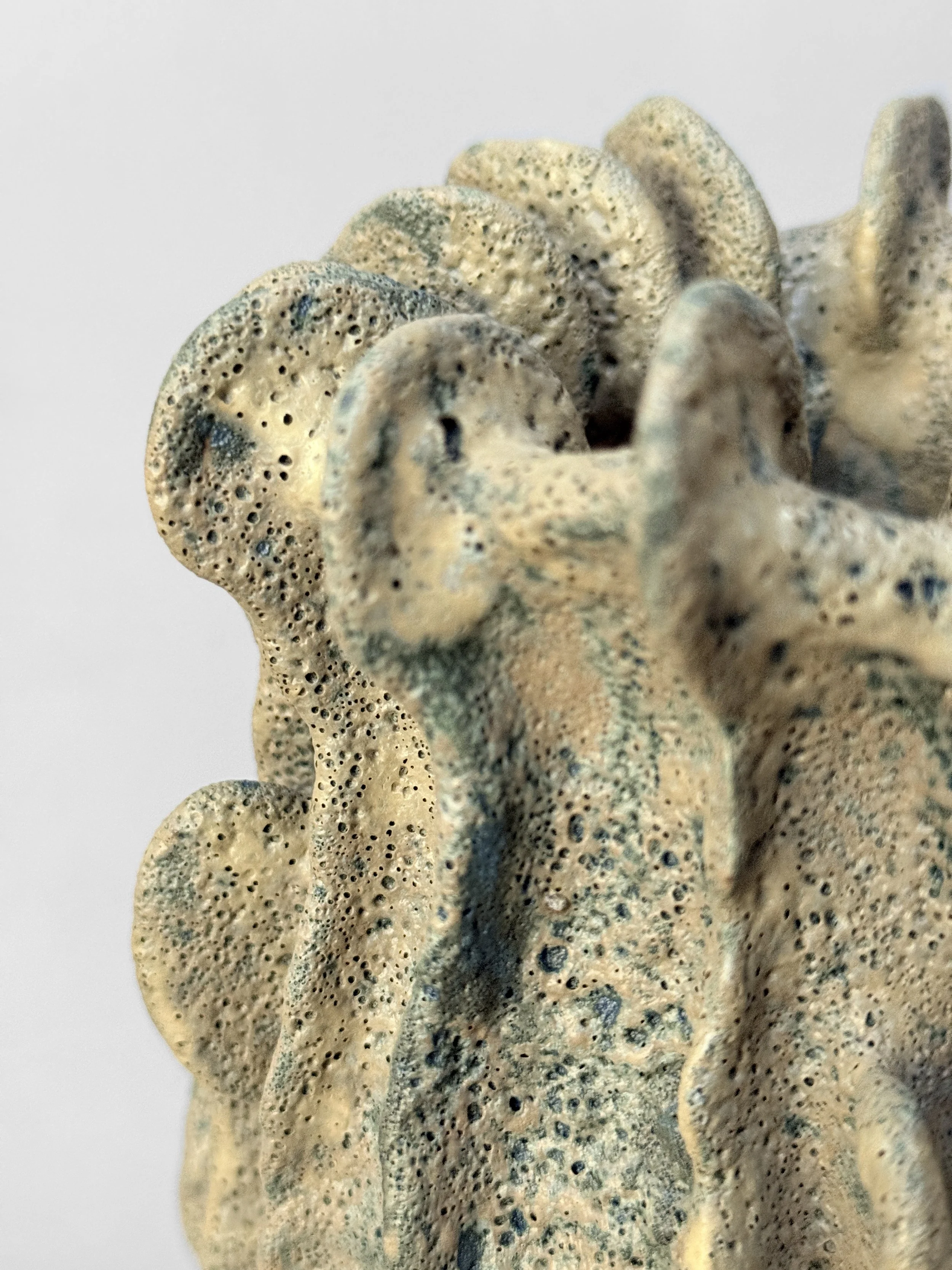 lotte-schwerdtfeger-coral-ridge-vase-vi-3.JPG