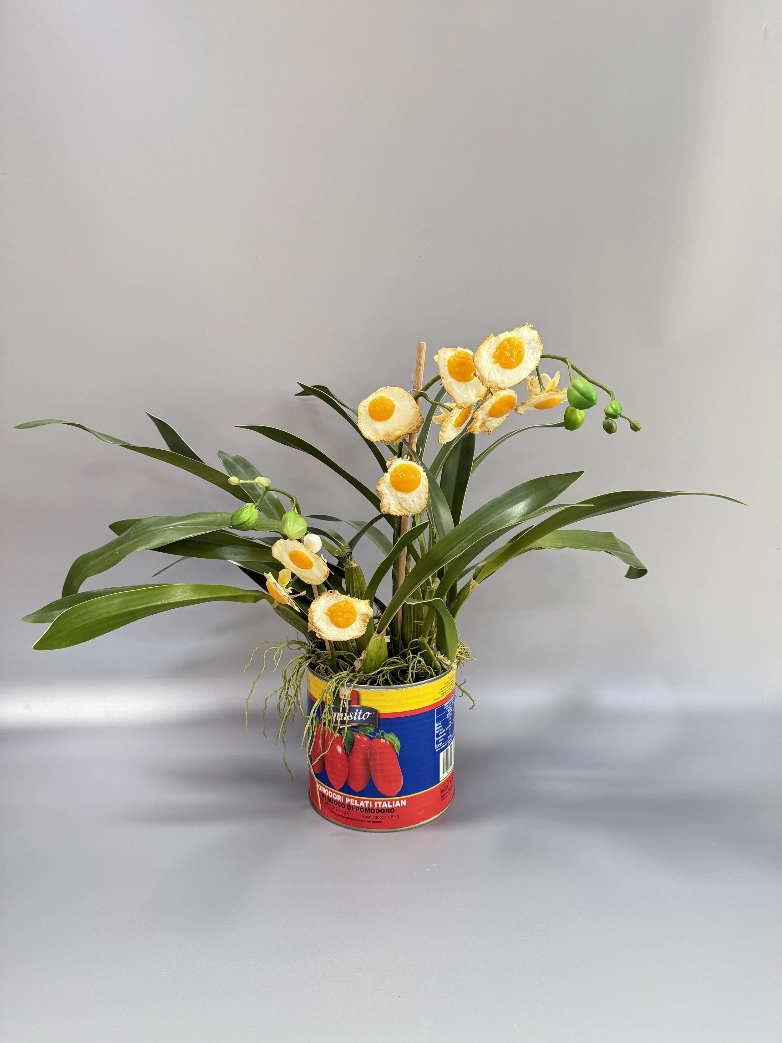 laetitia-olivier-gargano-egg-orchid-4-1.JPG