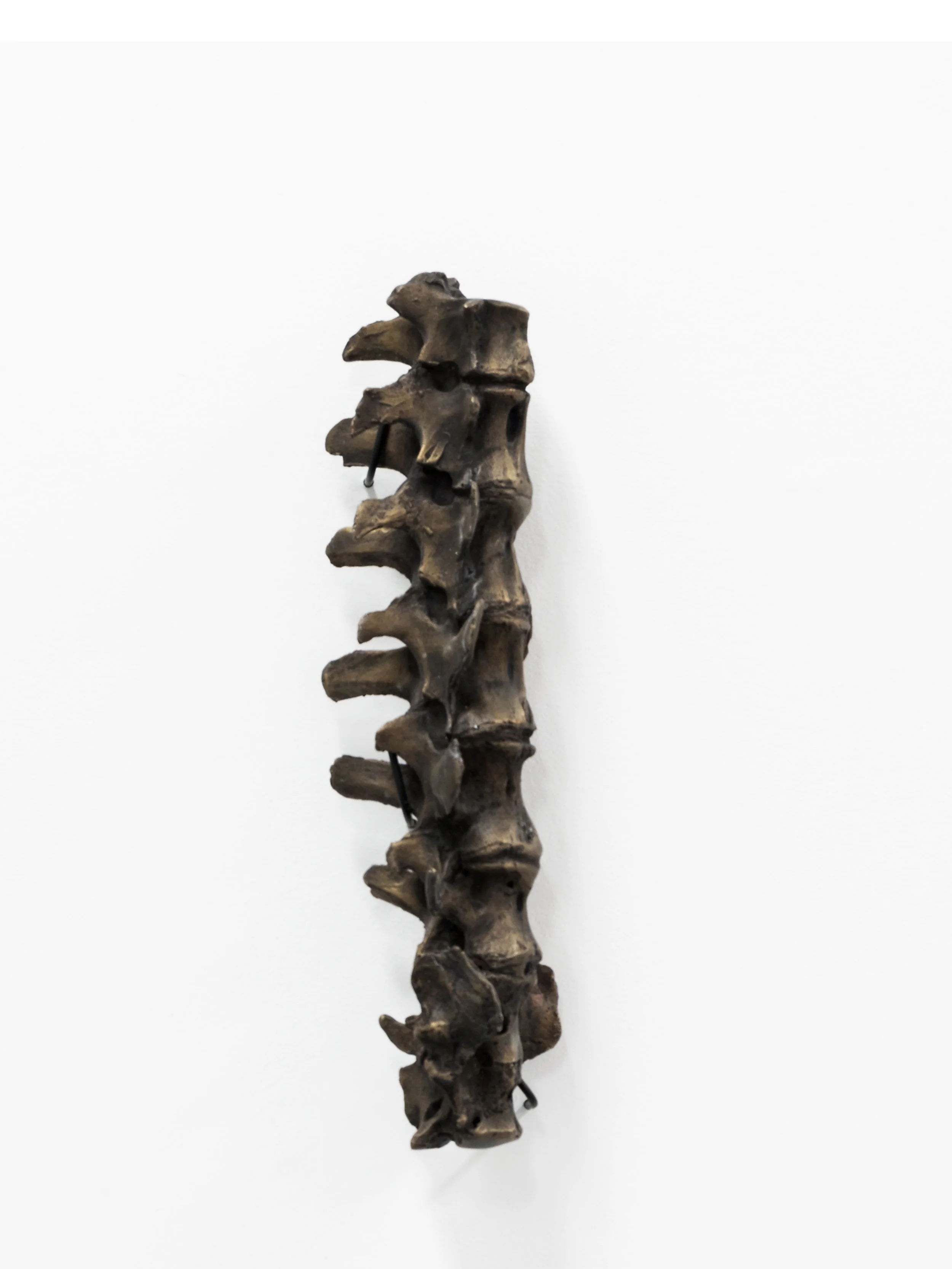 lara-chamas-found-in-a-field-spine-1.jpg