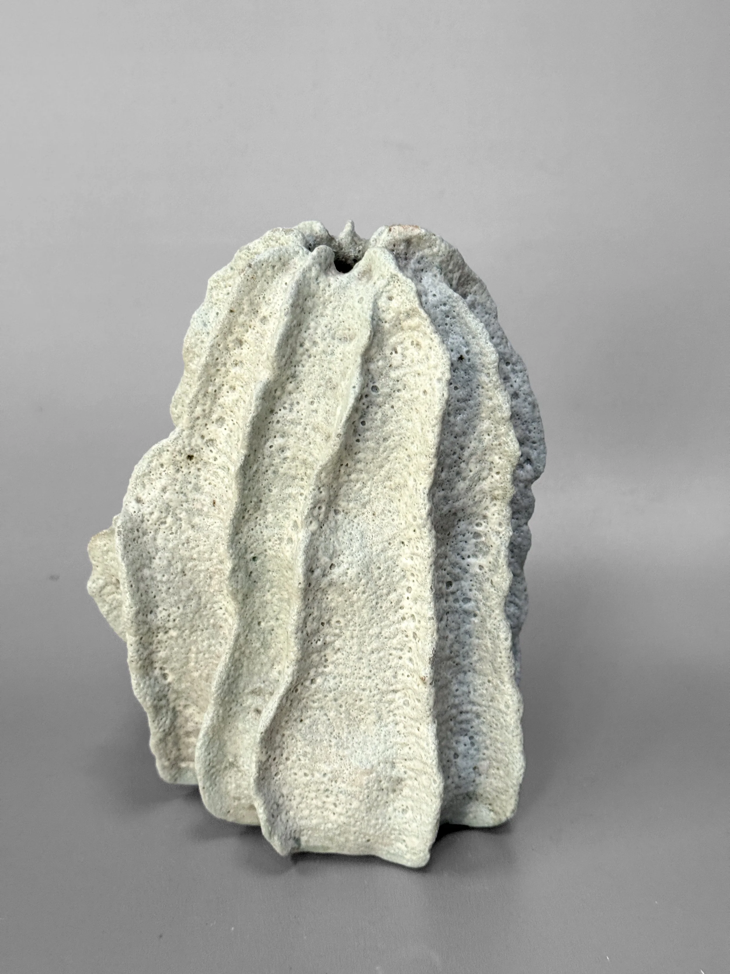 lotte-schwerdtfeger-ridge-vessel-sea-1.JPG