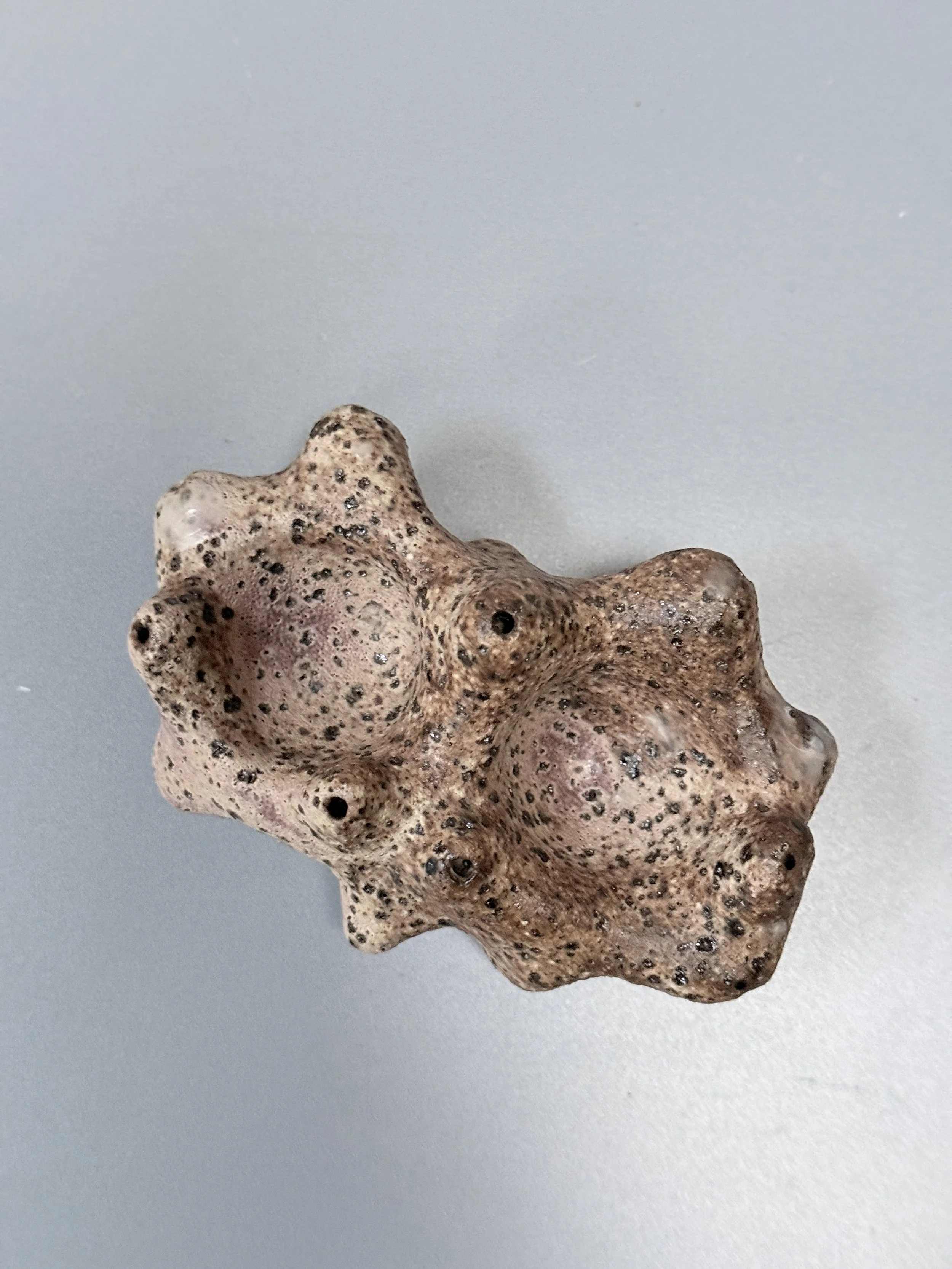 lotte-schwerdtfeger-coral-cindiment-dish-4.JPG