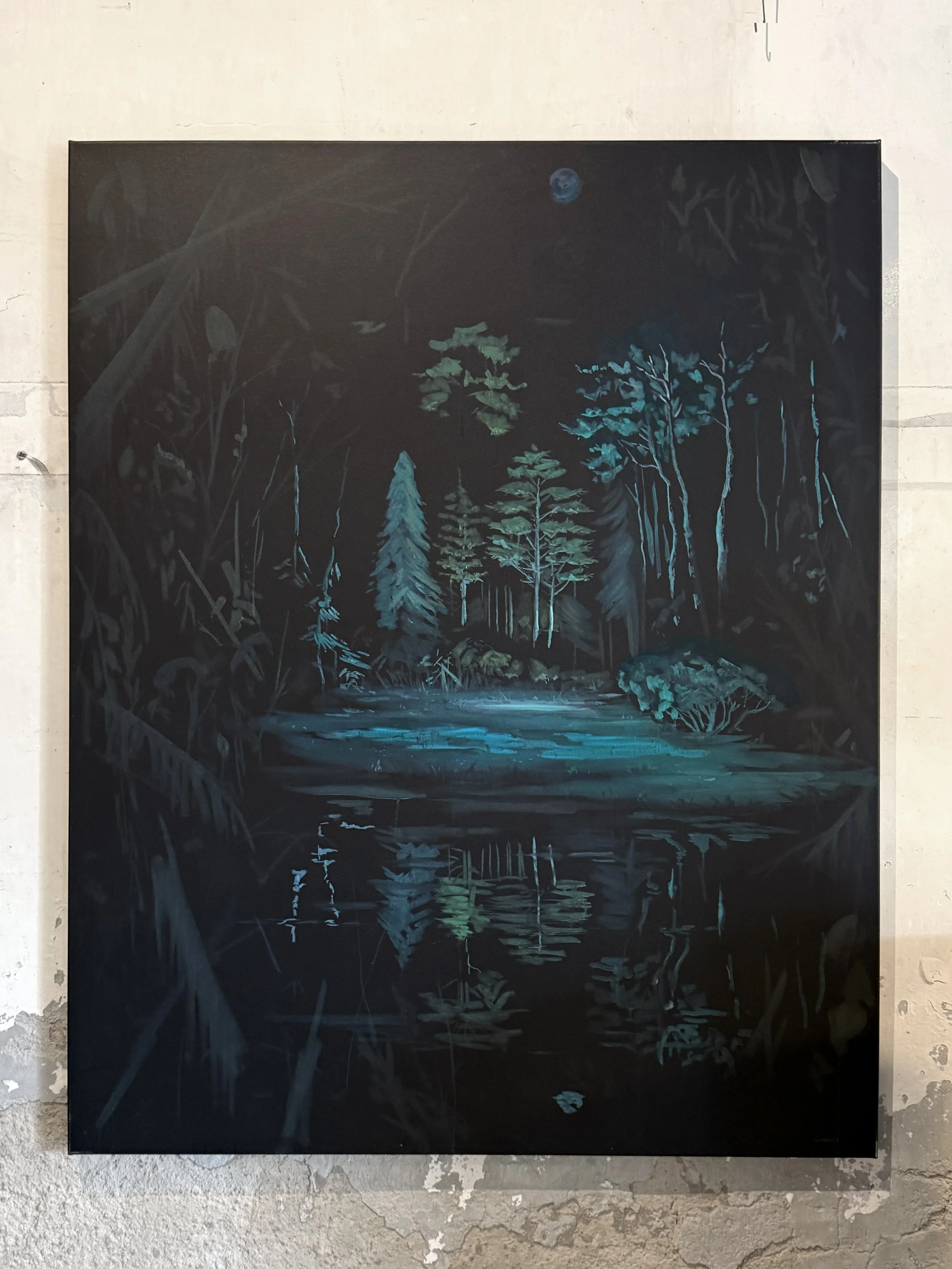 michael-carney-the dark-mirror-3.jpg