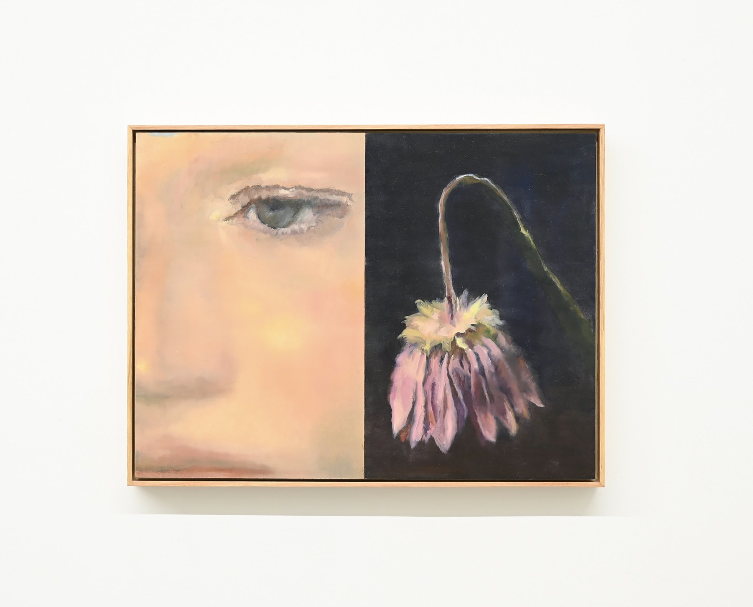 Aster