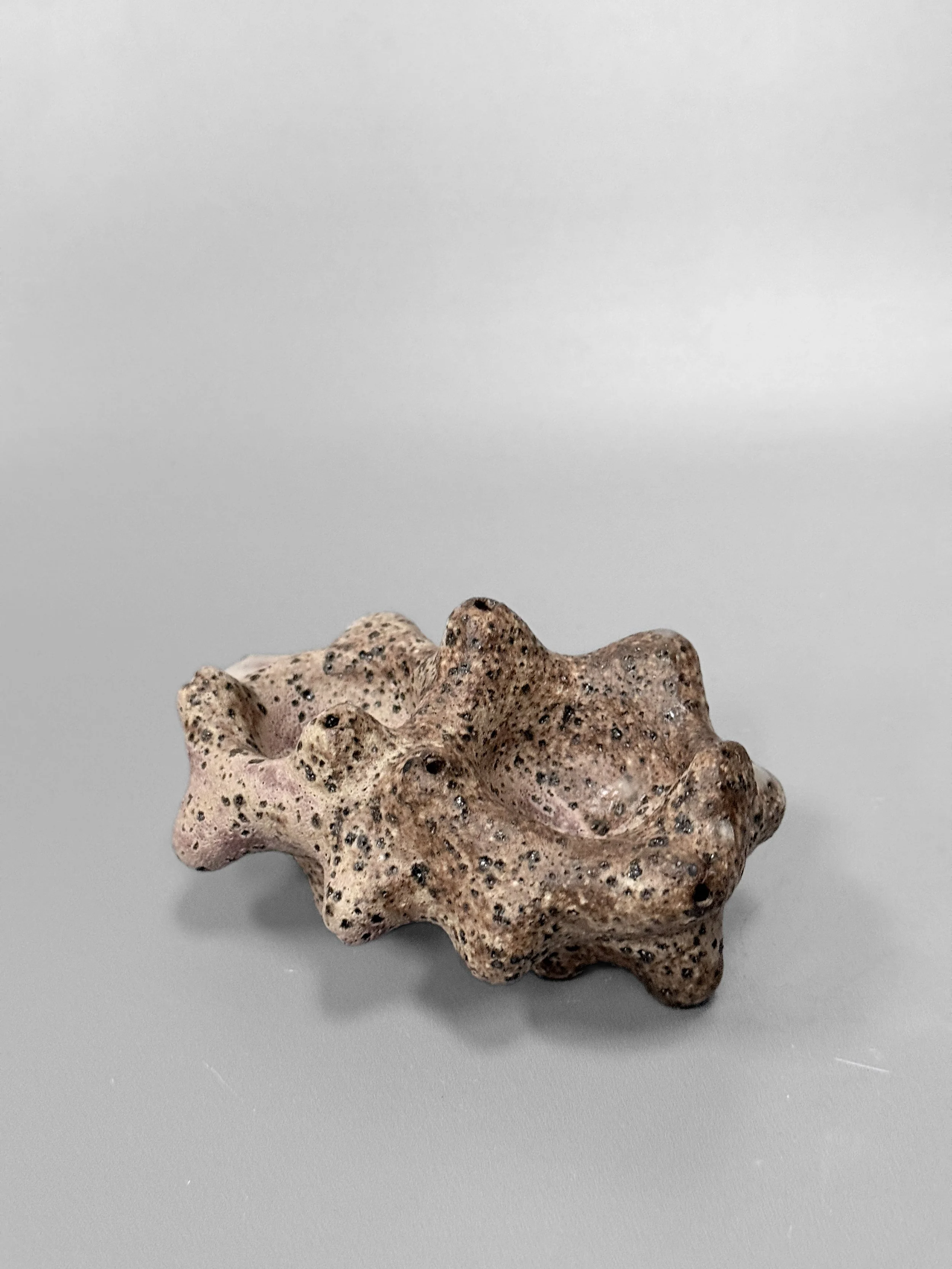 lotte-schwerdtfeger-coral-cindiment-dish-3.JPG