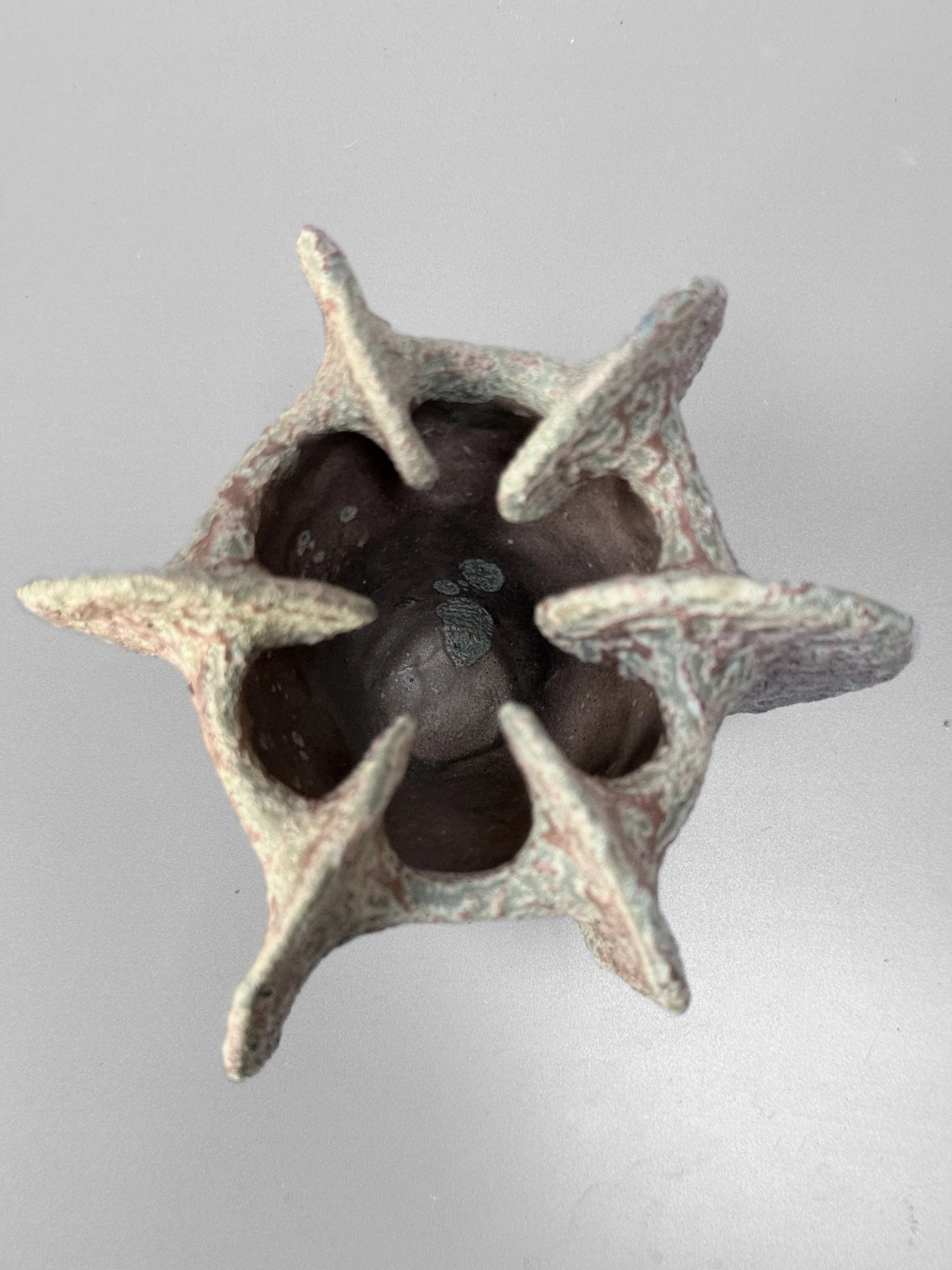 lotte-schwerdtfeger-coral-ridge-vase-ix-3.JPG