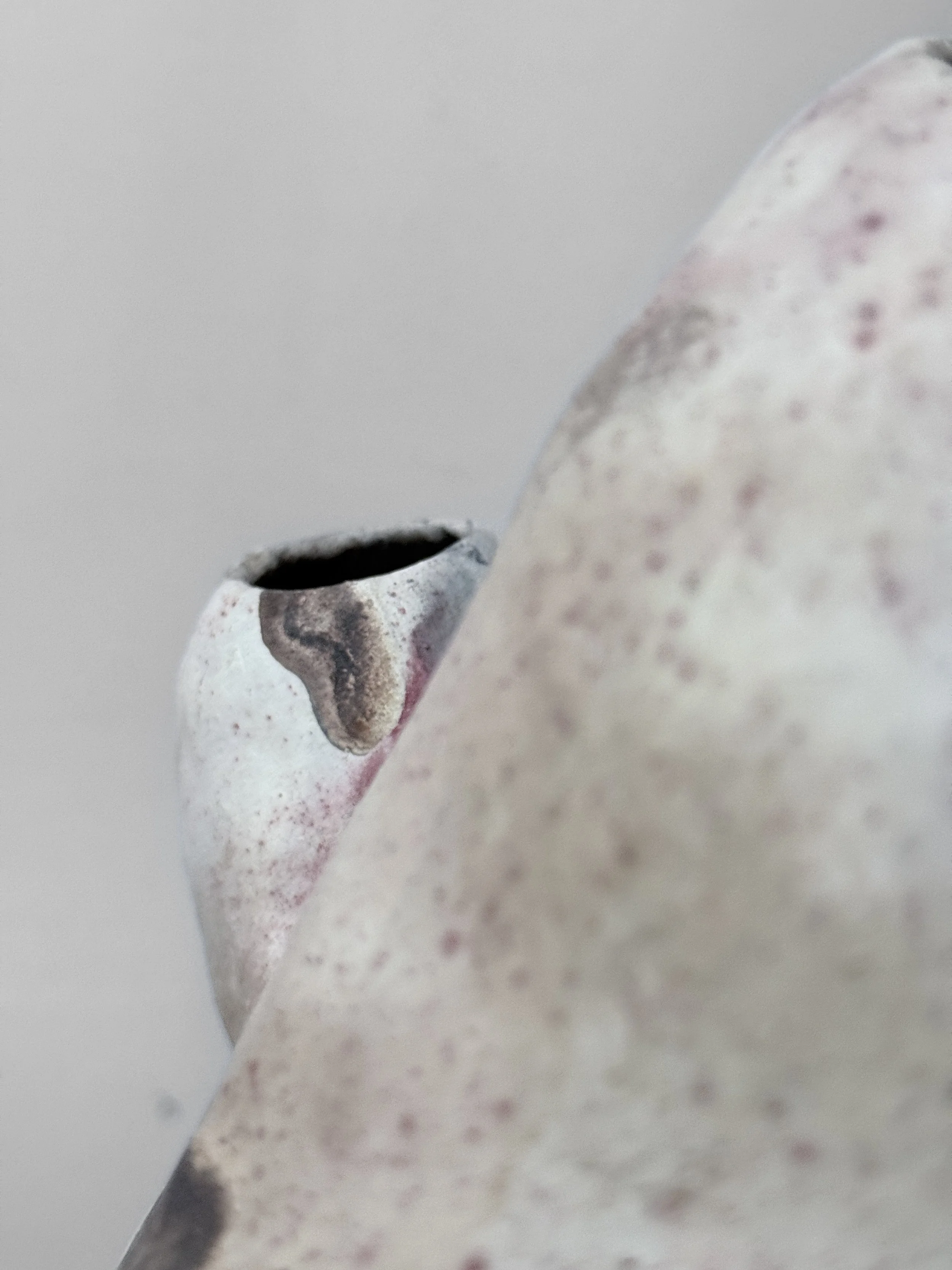 lotte-schwerdtfeger-blob-vase-5.JPG