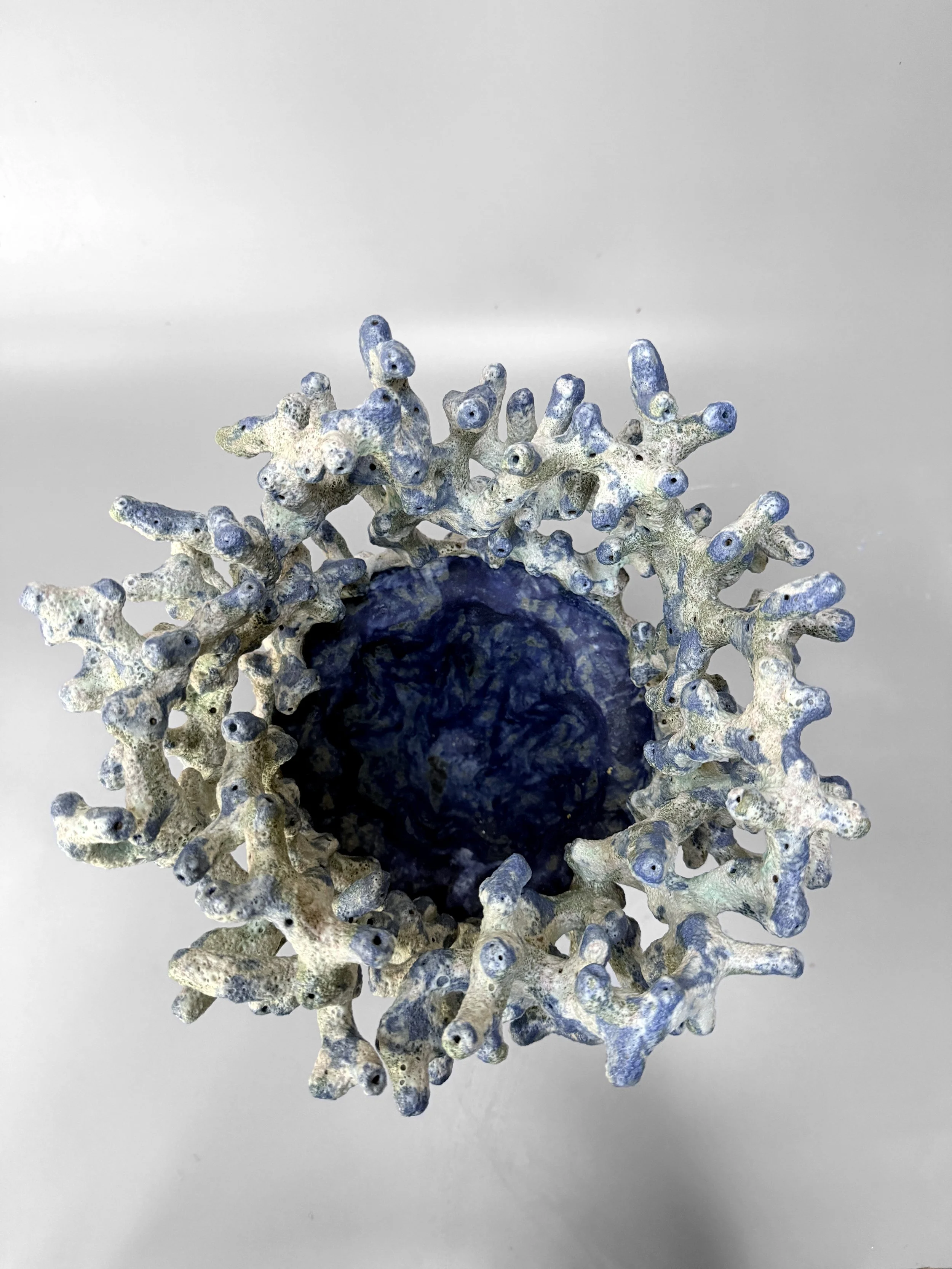 lotte-schwerdtfeger-coral-vessel-2.JPG