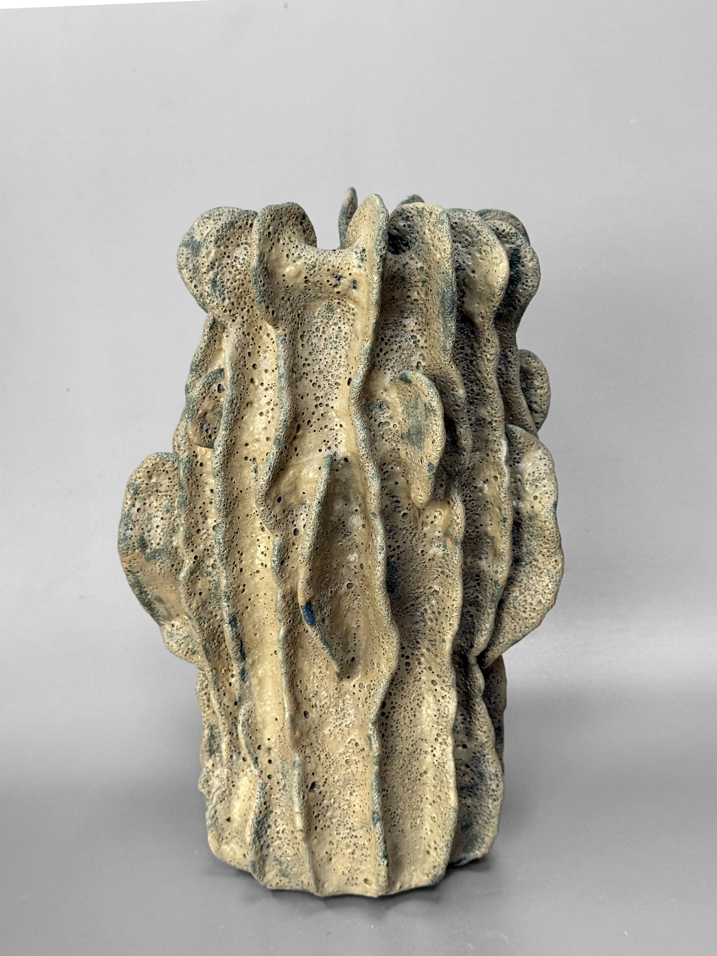 lotte-schwerdtfeger-coral-ridge-vase-vi-5.JPG