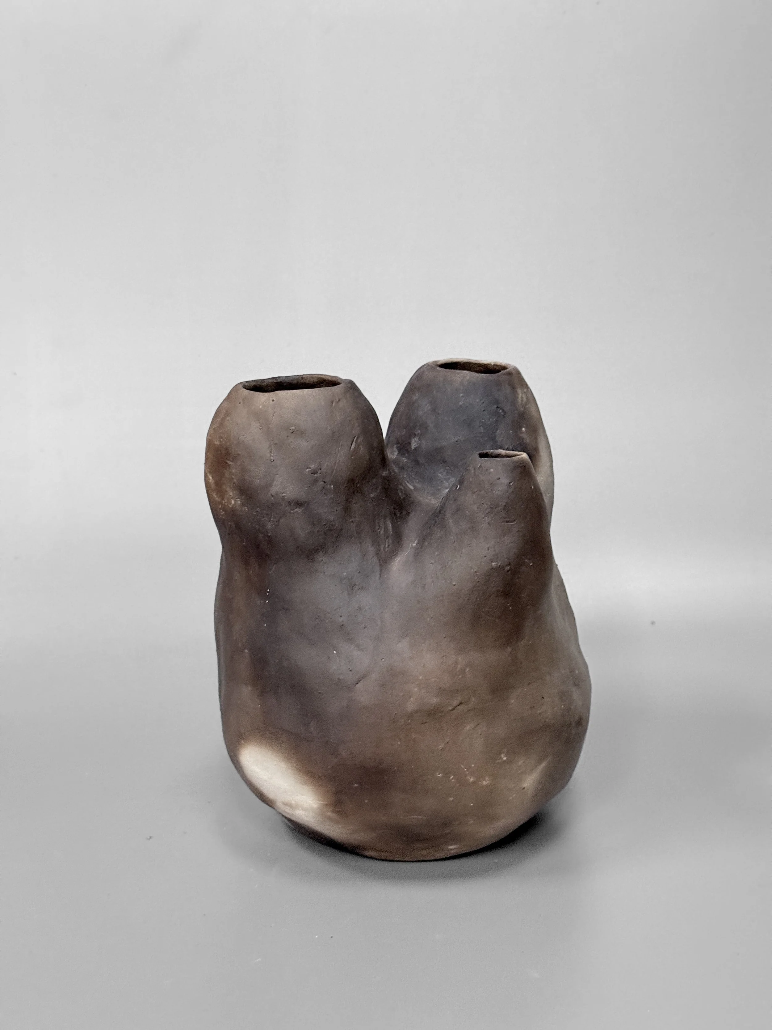 lotte-schwerdtfeger-blob-vase-iii-1.JPG