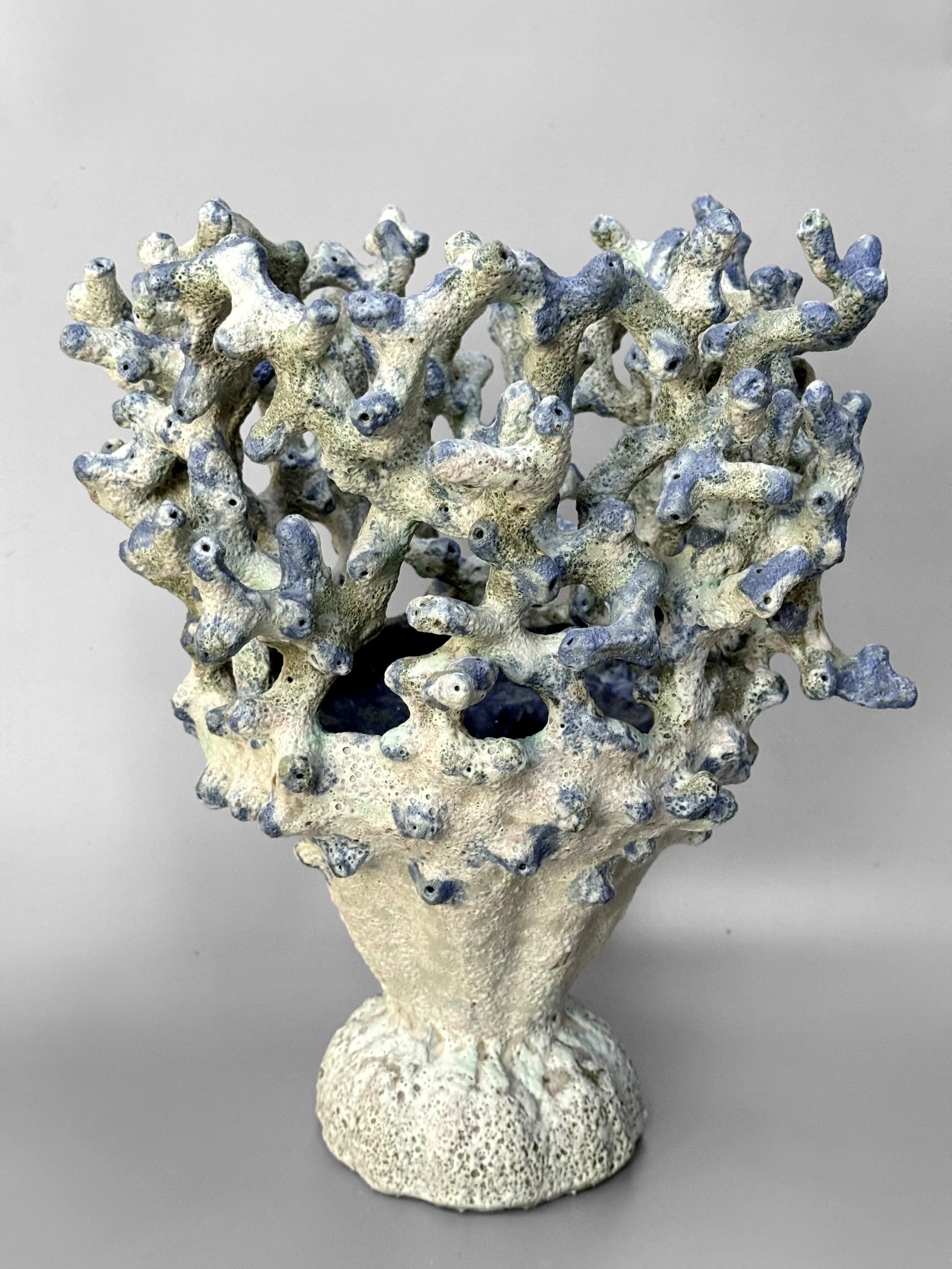 lotte-schwerdtfeger-coral-vessel-6.JPG