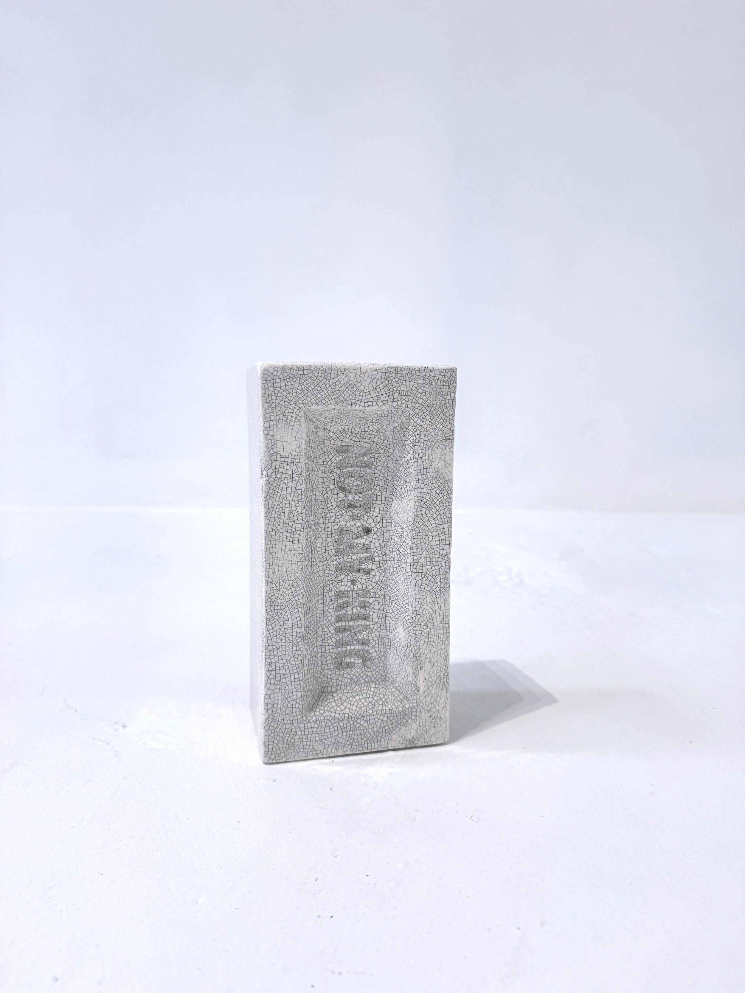 robert-hague-fuck-you-not-my-king-brick-8-1.JPG