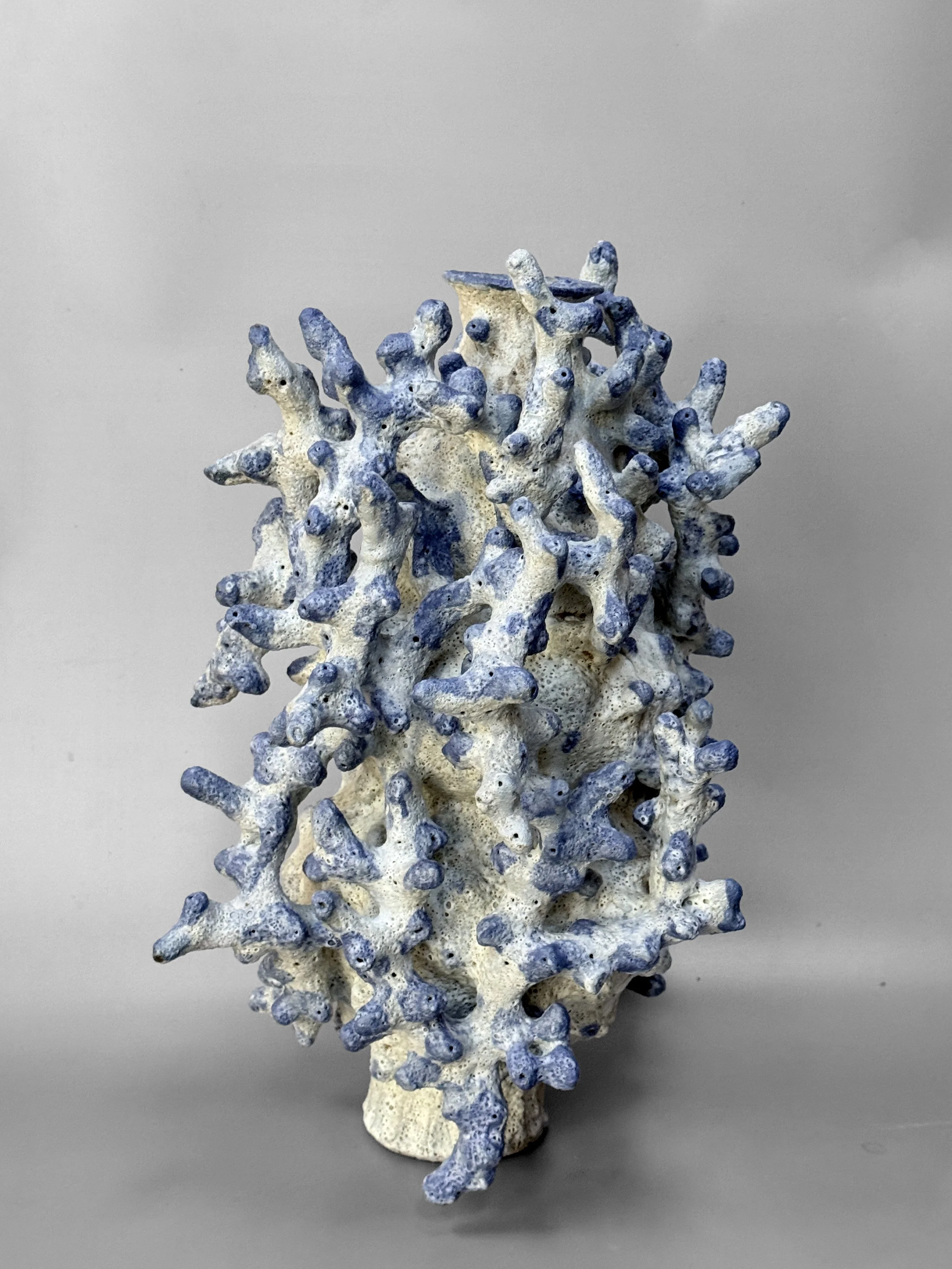 lotte-schwerdtfeger-colossal-coral-vase-5.JPG