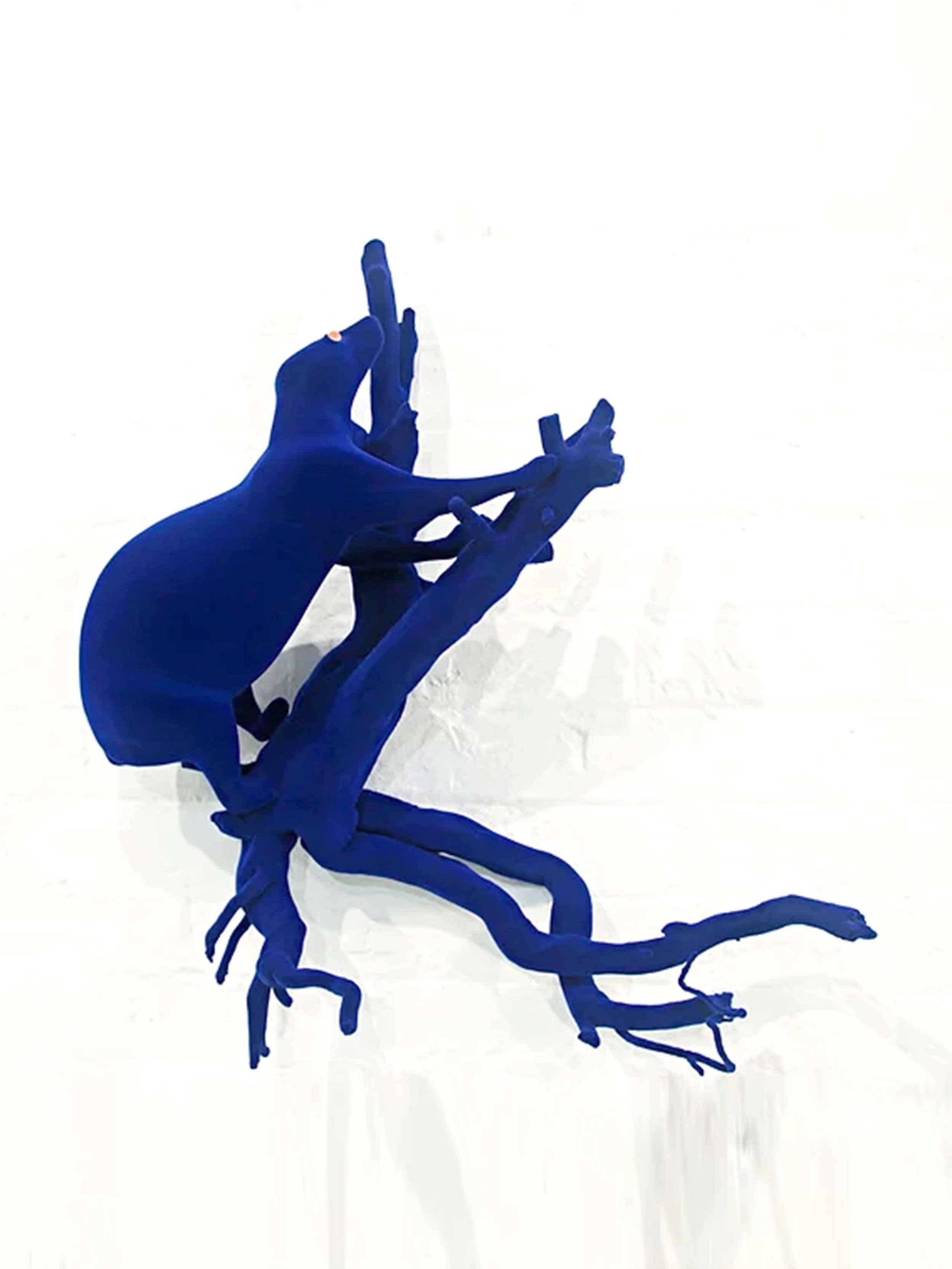natalie-ryan-blue-velvet-possum-2.jpeg