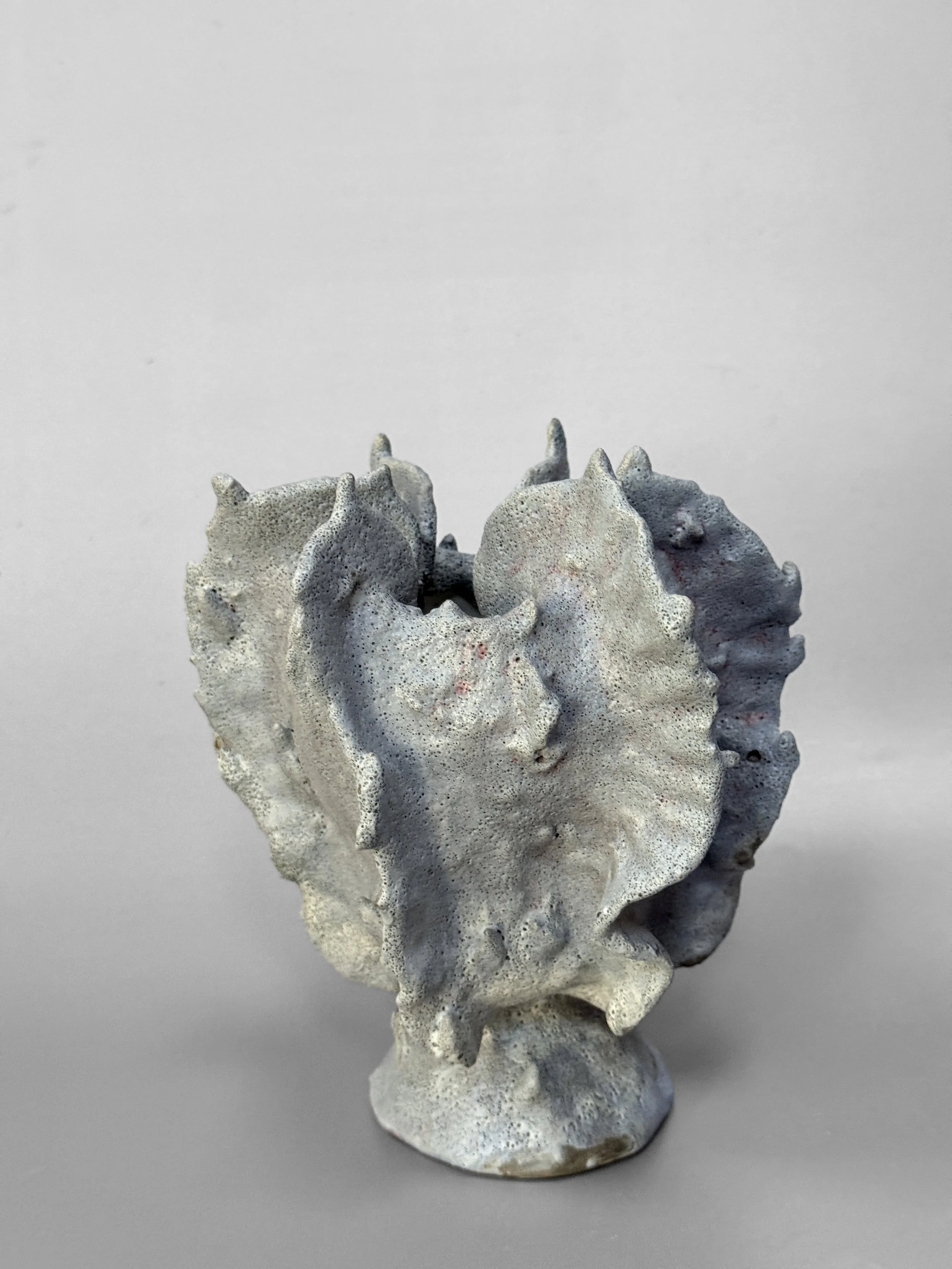 lotte-schwerdtfeger-coral-ridge-vase-viii-3.JPG