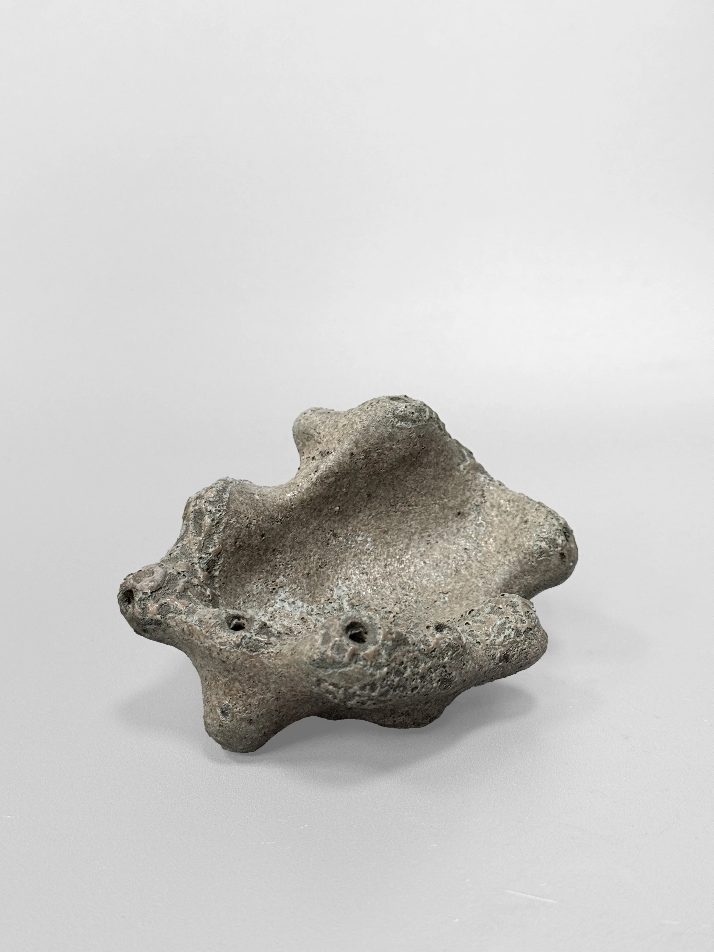lotte-schwerdtfeger-coral-dish-1.JPG