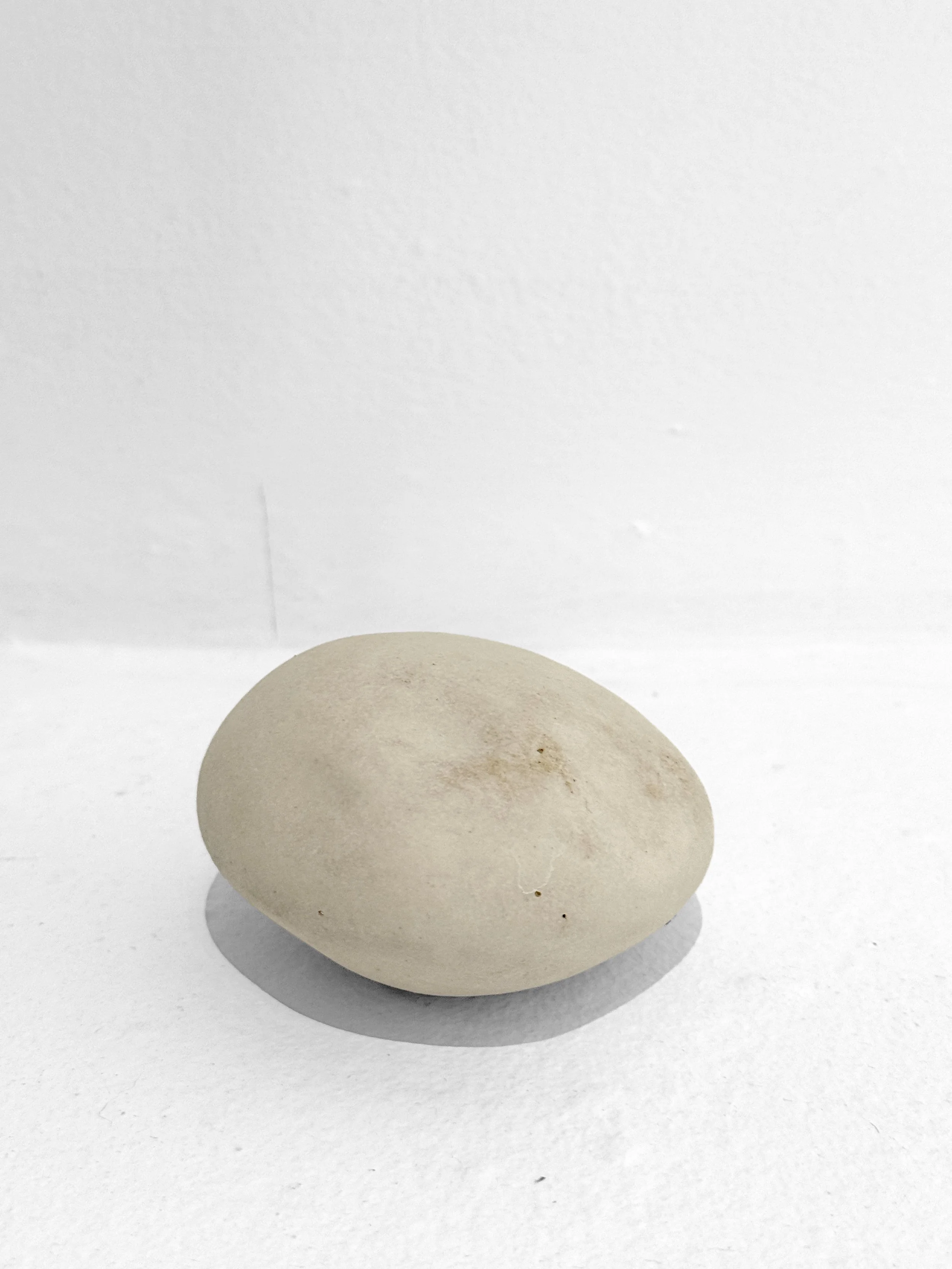 kaori-fujimoto-rattle-1-2.JPG