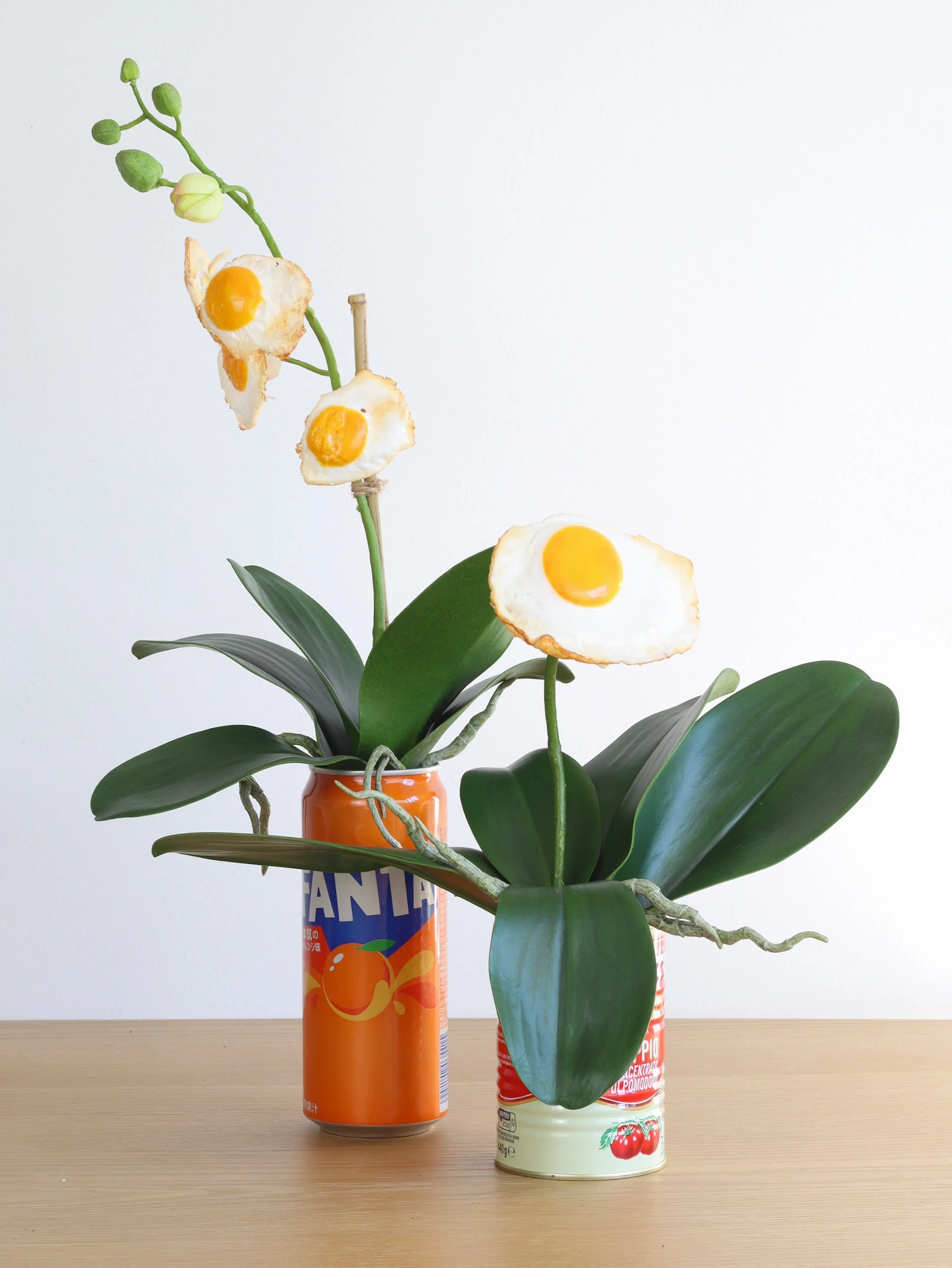 laetitia-olivier-gargano-egg-orchid-10-11.jpeg