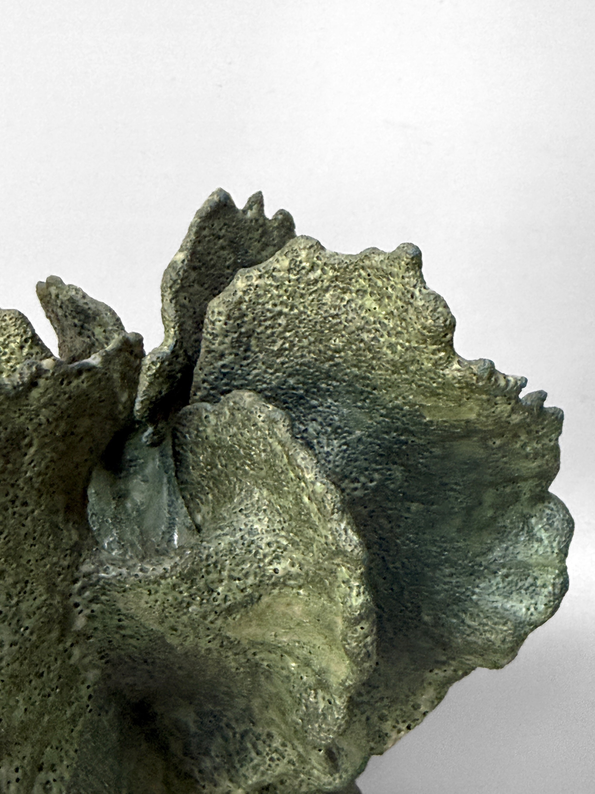 lotte-schwerdtfeger-coral-ridge-vase-ii-4.JPG