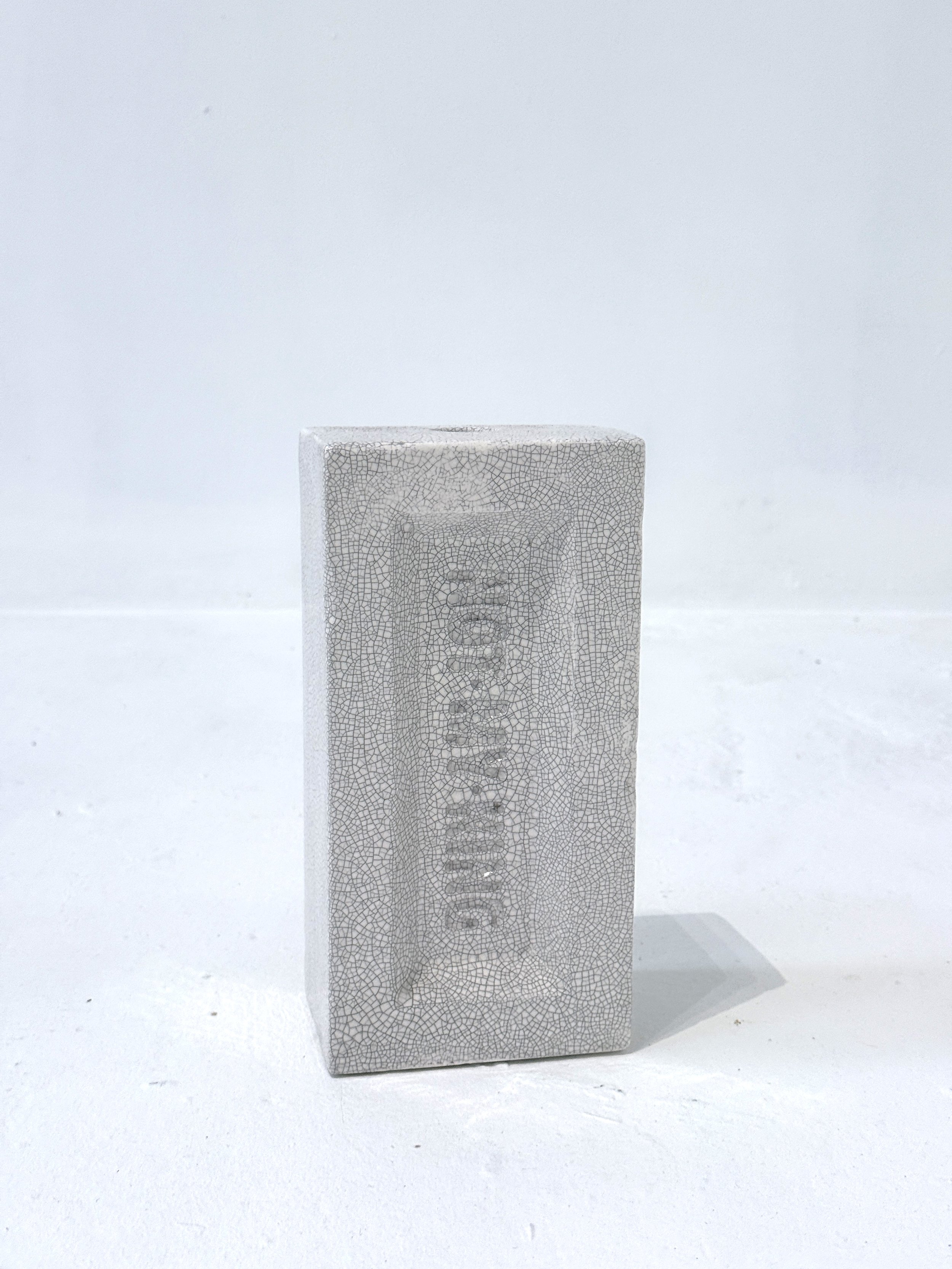 robert-hague-fuck-you-not-my-king-brick-9-1.JPG