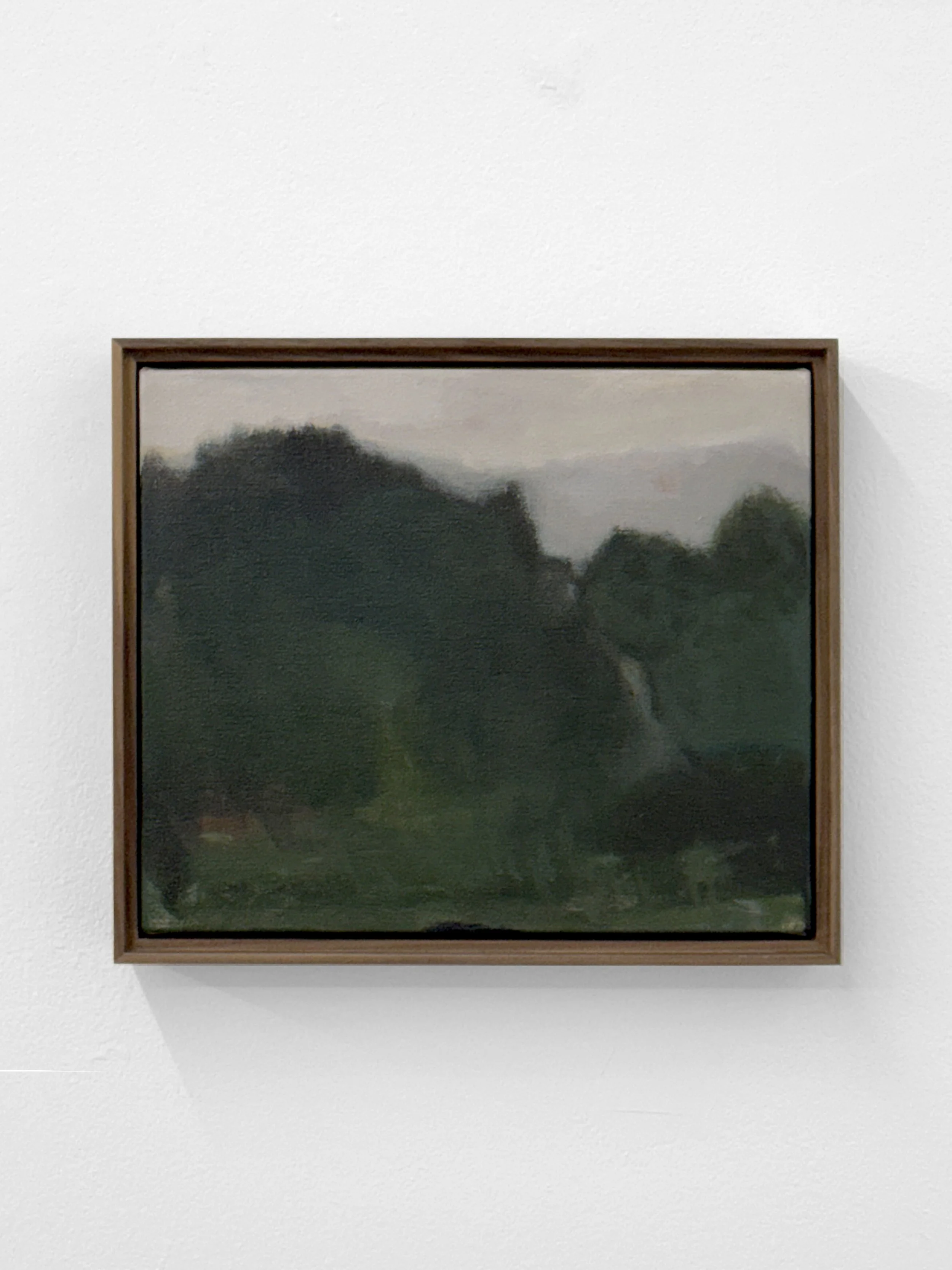 V14 Luminous Remnants