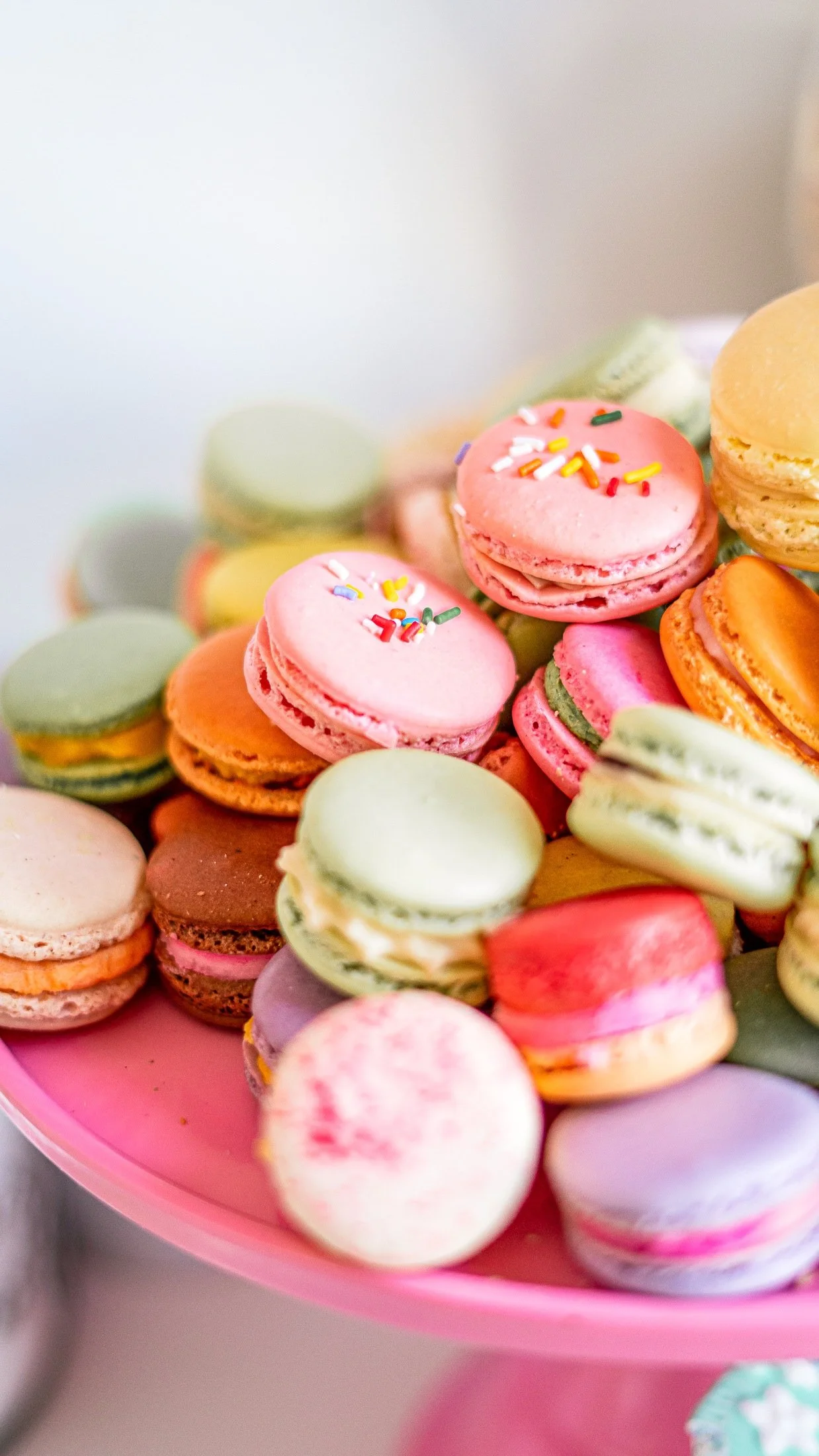 22_04_2021, 16_29_02.jpeg