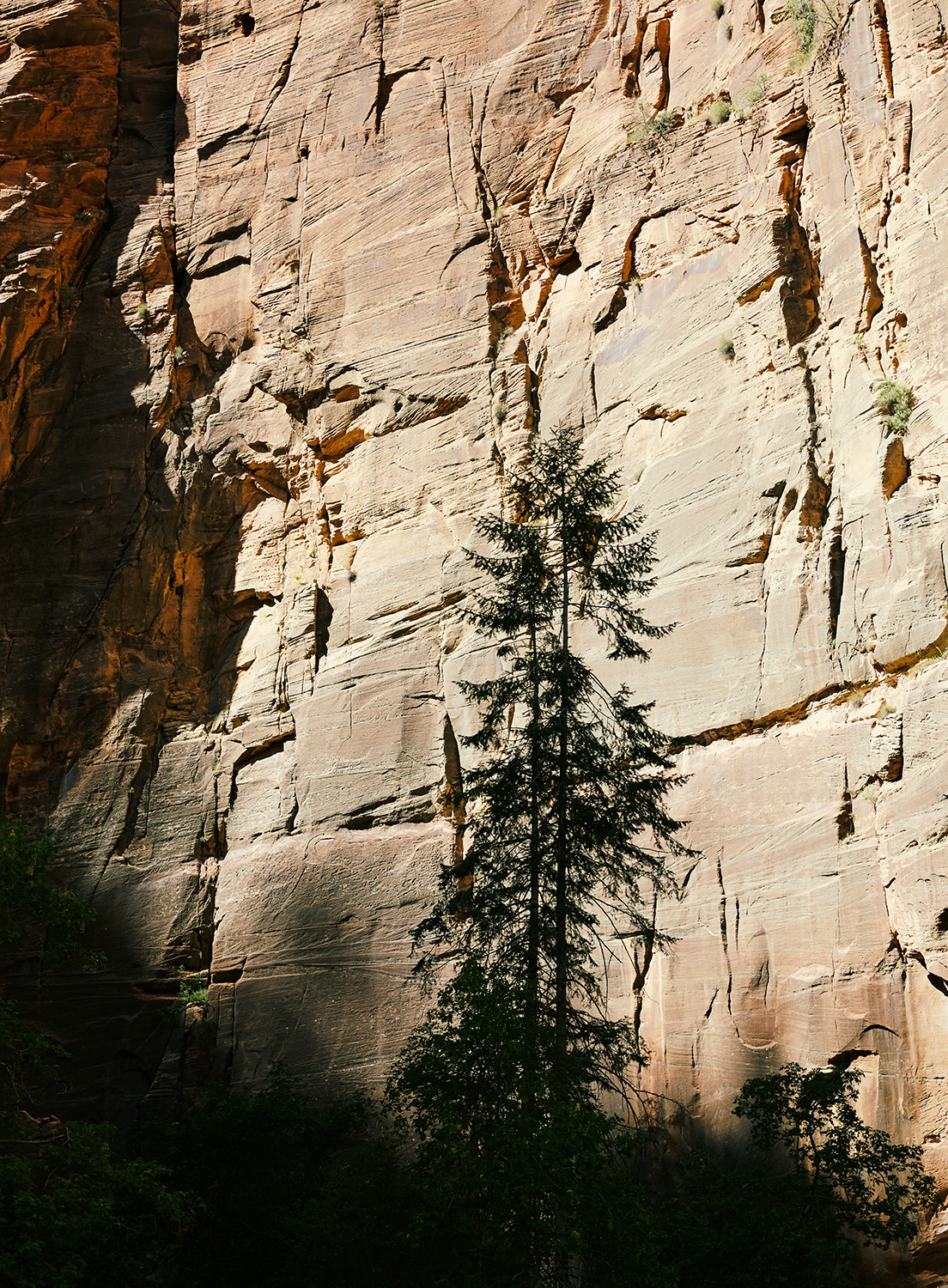 09_ArionDoerr_170913_Zion_0363_EC.jpg