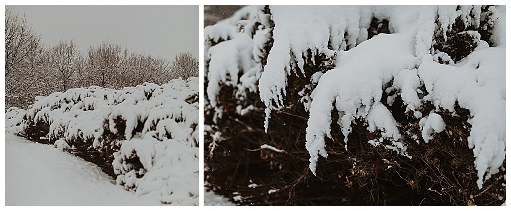 snowy engagement_0001.jpg
