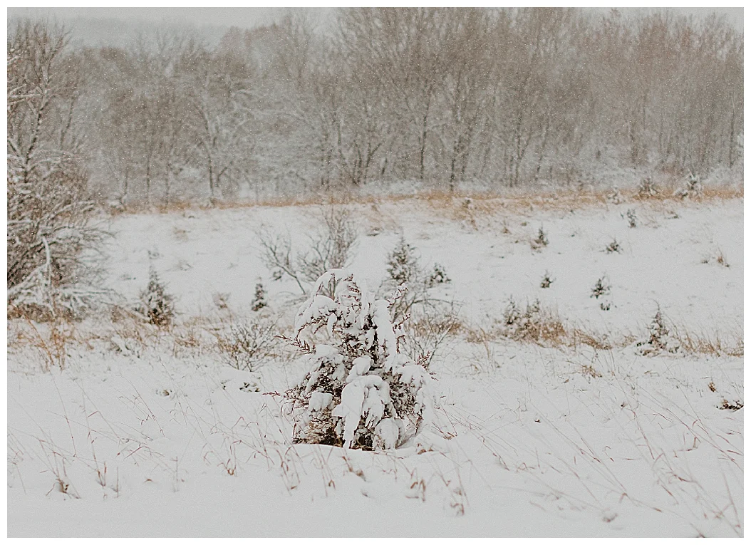 snowy engagement_0003.jpg