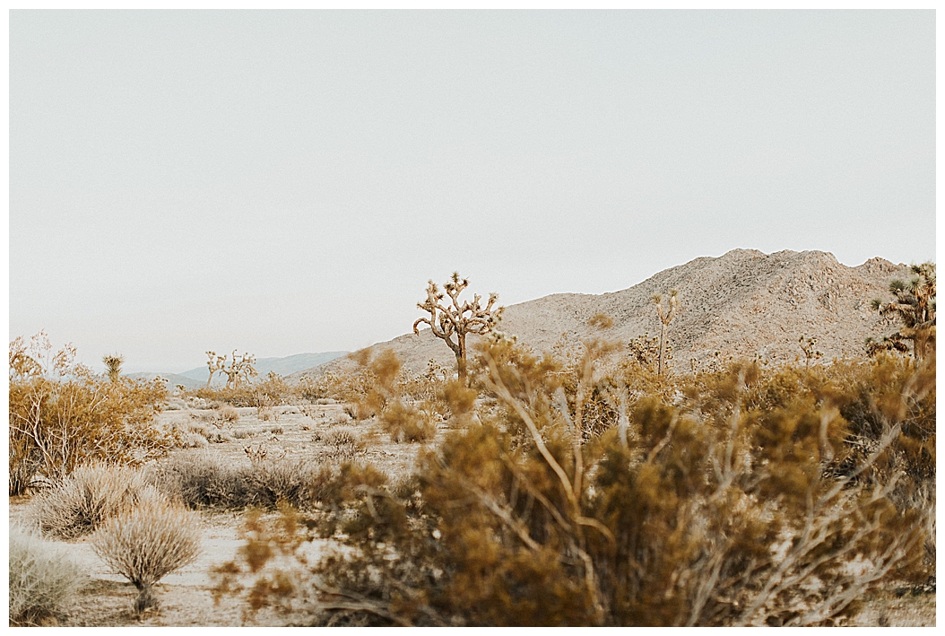 Joshua Tree Elopement_0029.jpg