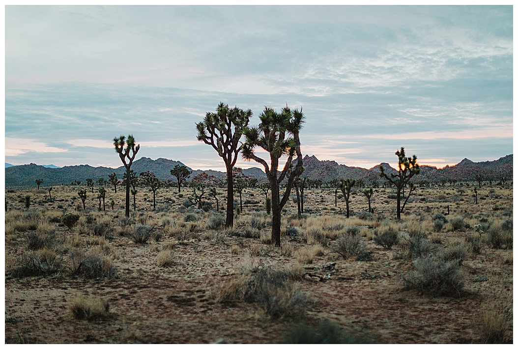 Joshua Tree Elopement_0067.jpg