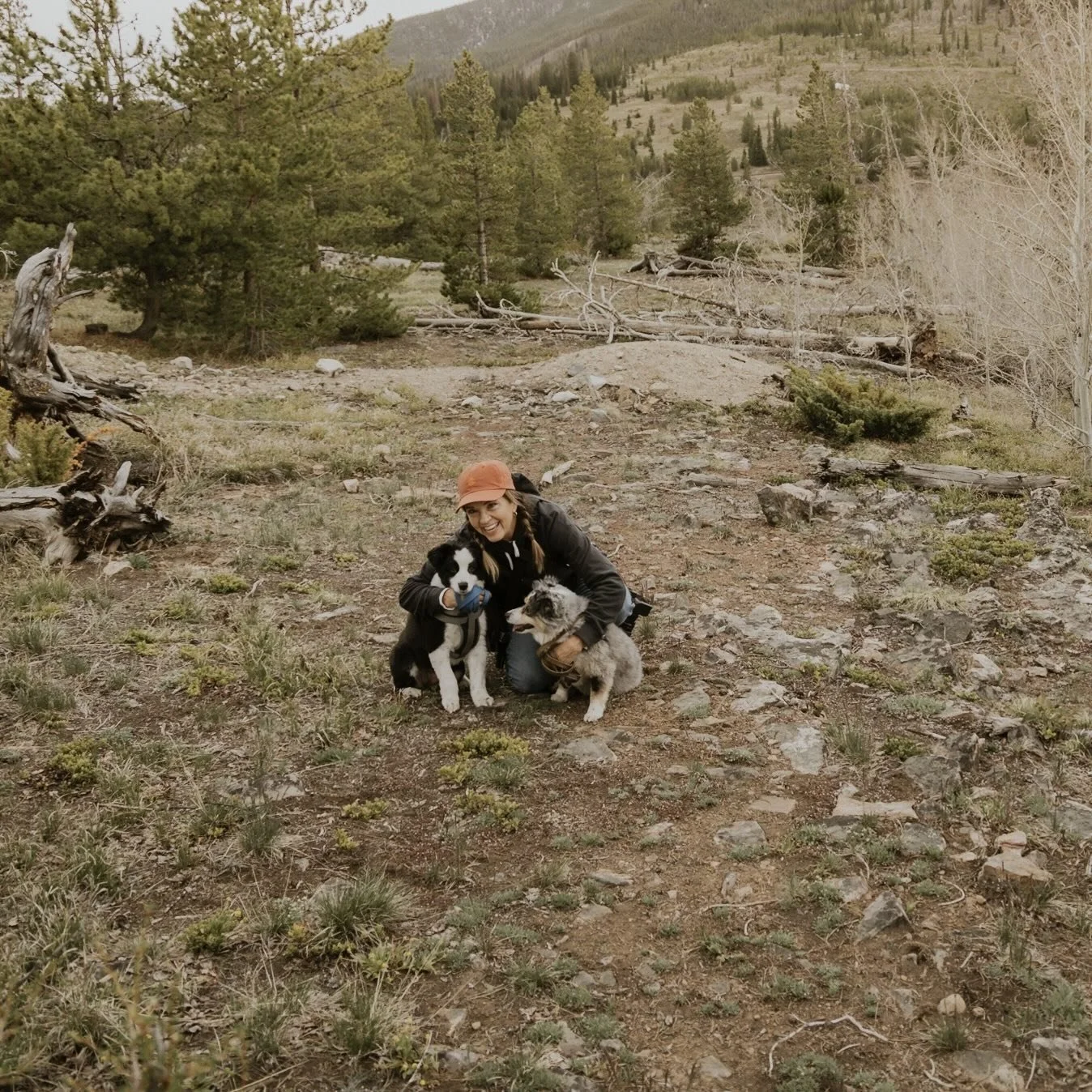 Screen Shot 2021-06-28 at 8.47.28 PM.jpeg