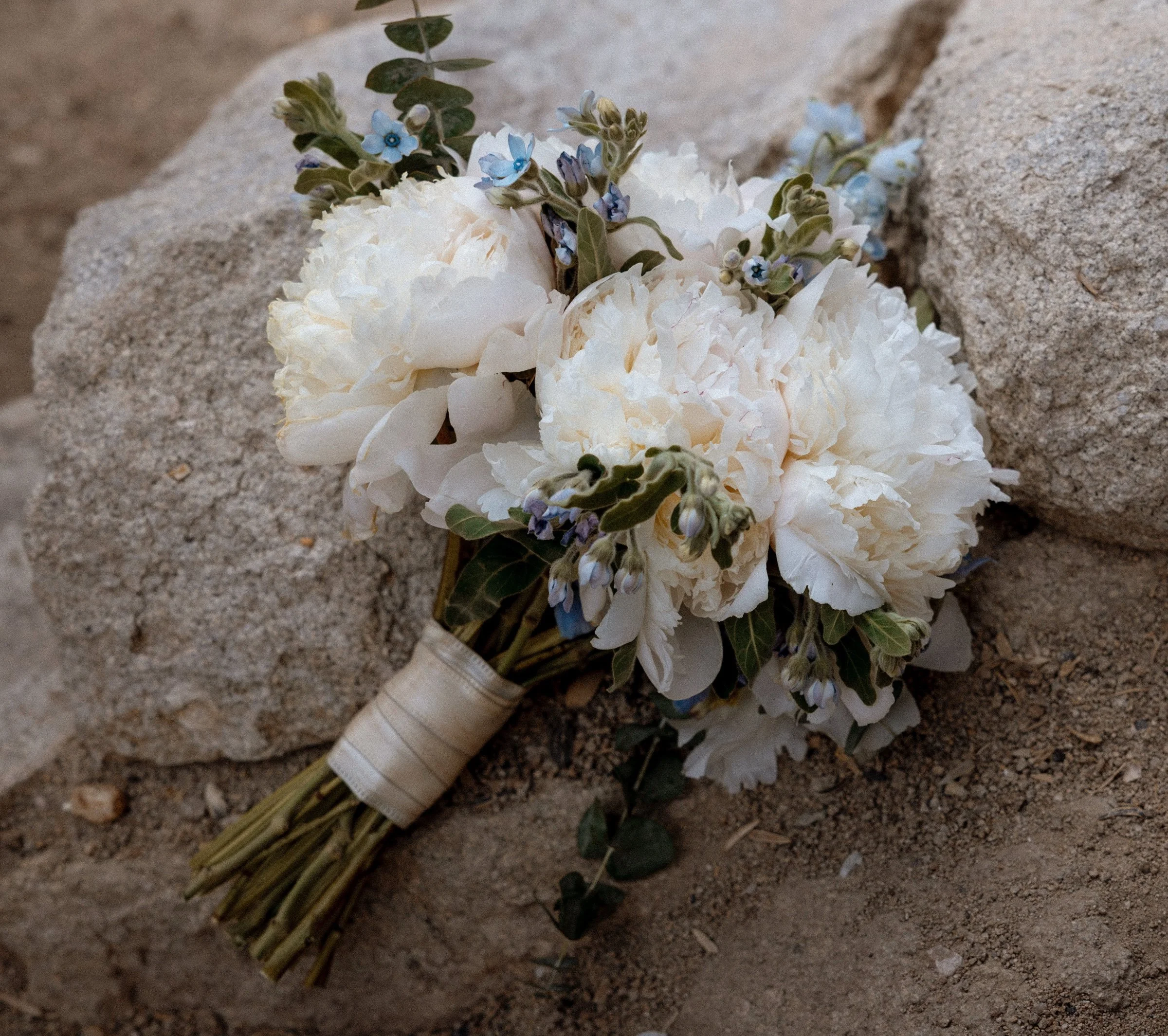 057_Dawn McClannan Photo,www.dawnmacphoto.com, wedding photographer, elopement photographer, engagement photographer-124.jpg