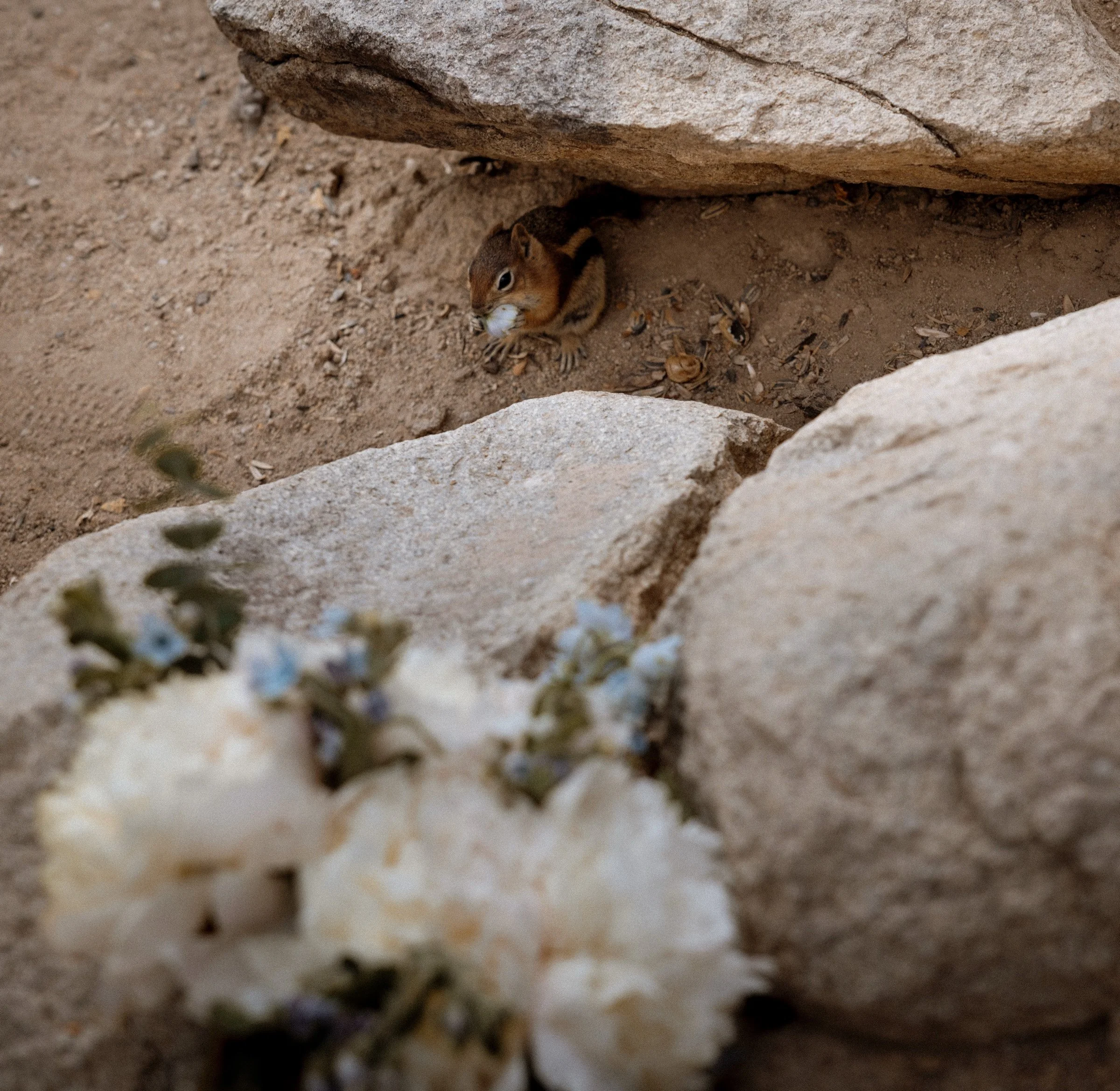 058_Dawn McClannan Photo,www.dawnmacphoto.com, wedding photographer, elopement photographer, engagement photographer-123.jpg